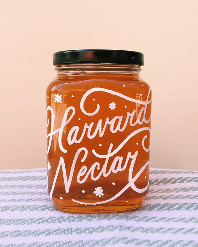 WEEK 25 - Giggles = creative gold.