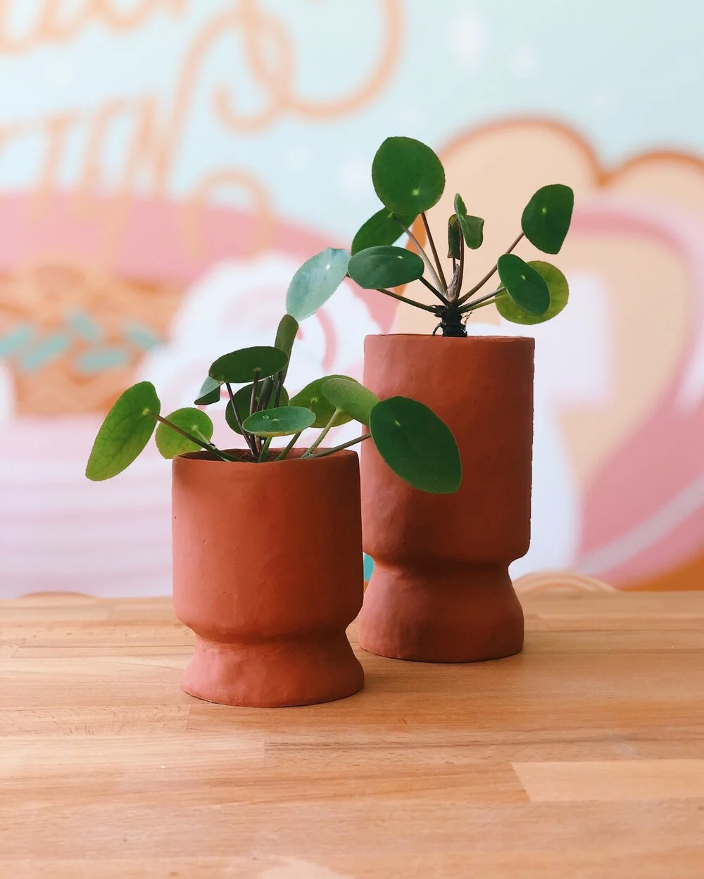 WEEK 13 - Turn trash into (creative) treasure