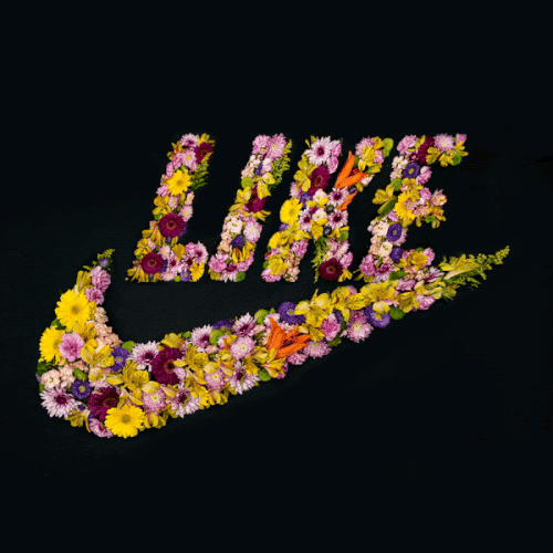 Yikes nike logo new arrivals