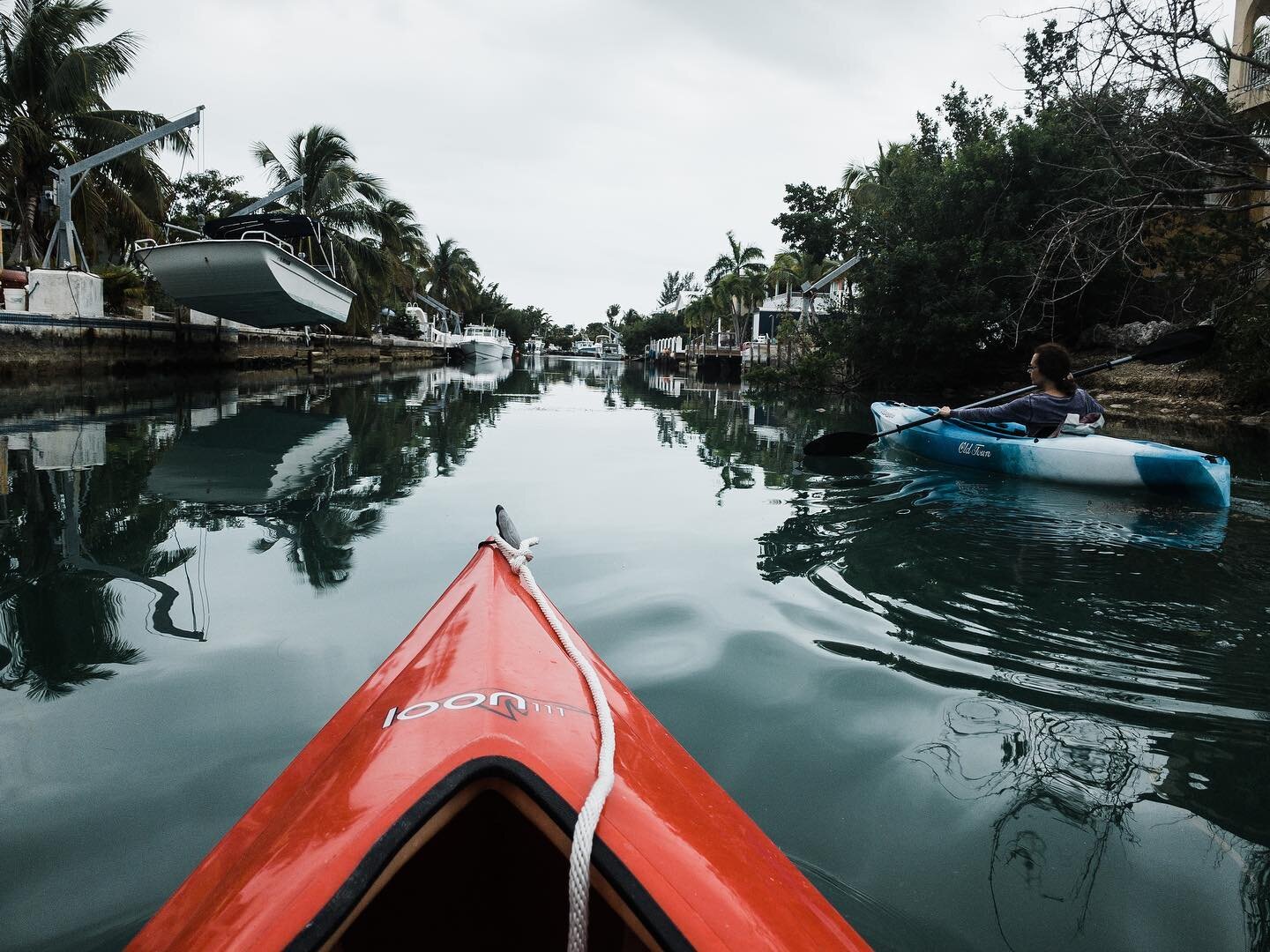 There&rsquo;s nothing more relaxing than kayaking out into the mangroves in the morning.
.
.
.
#shotoniphone #summerlandkey #summerlandkeyflorida #floridakeys #oceankayak #iphonexr #lightroommobile #momentapp #mastinlabs
