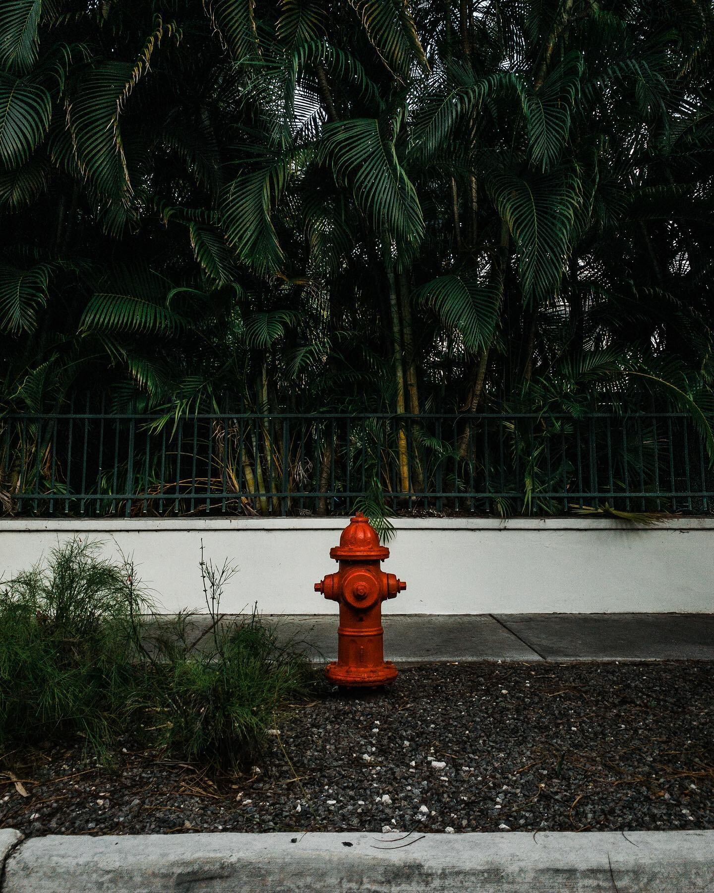 How is it that even the fire hydrants look beautiful in the Keys?