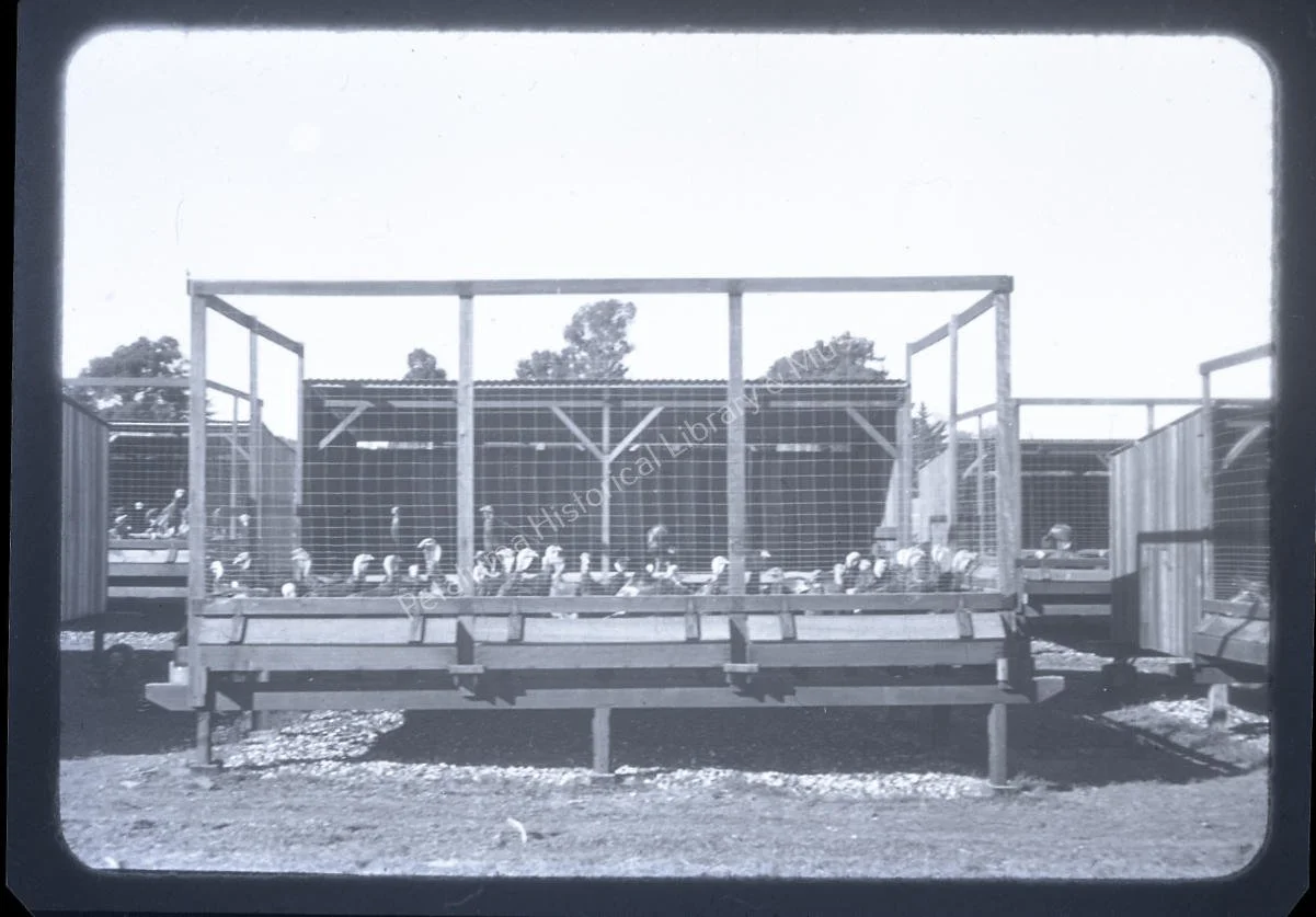 1979-80-068.jpg