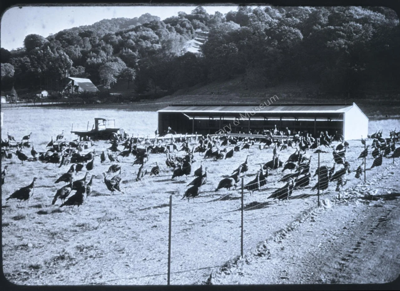 1979-80-076.jpg
