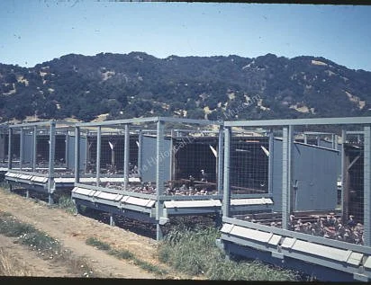 1979-80-110.jpg