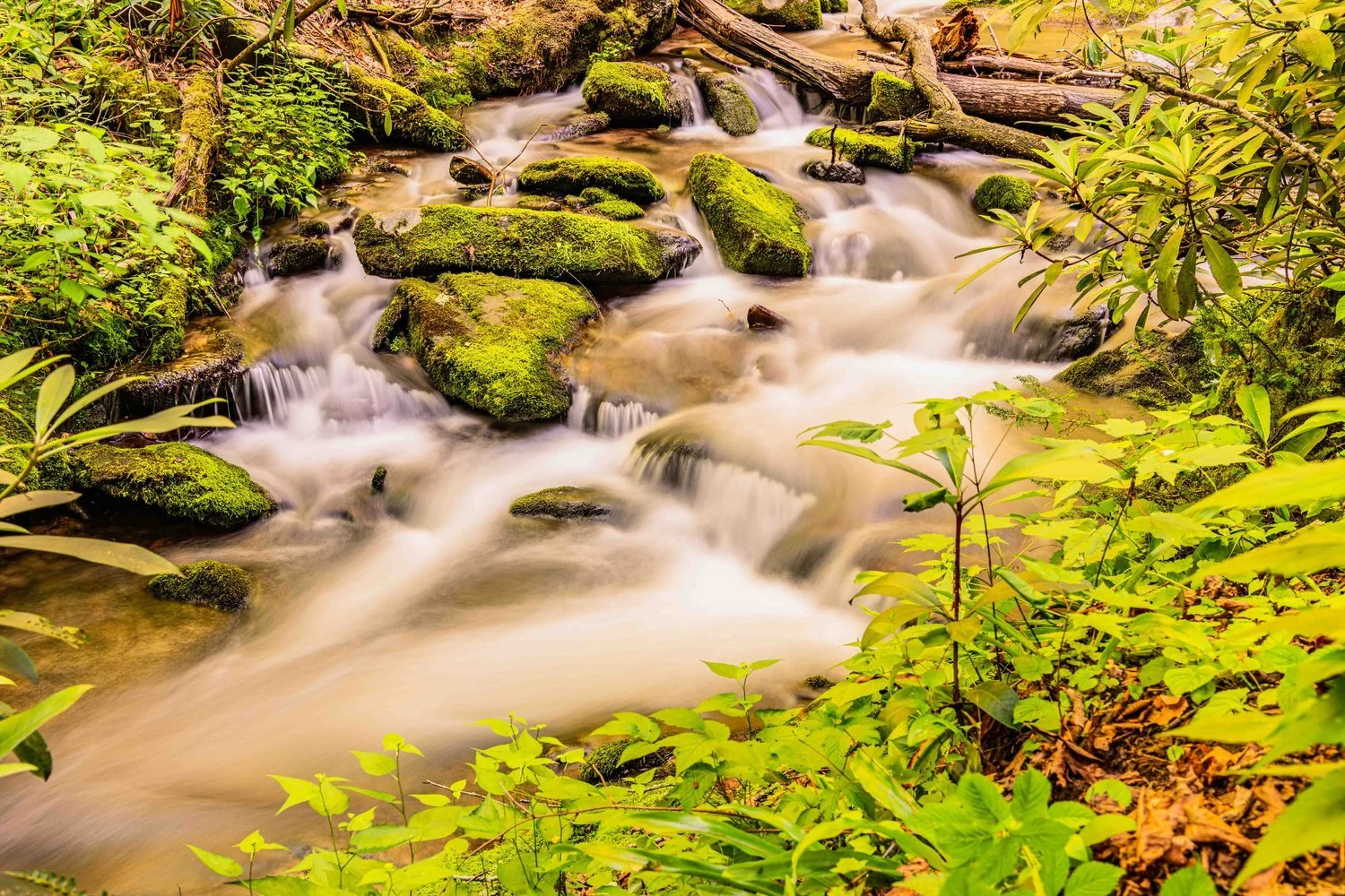 Bradley Fork, Great Smoky Mountains, Cherokee, NC