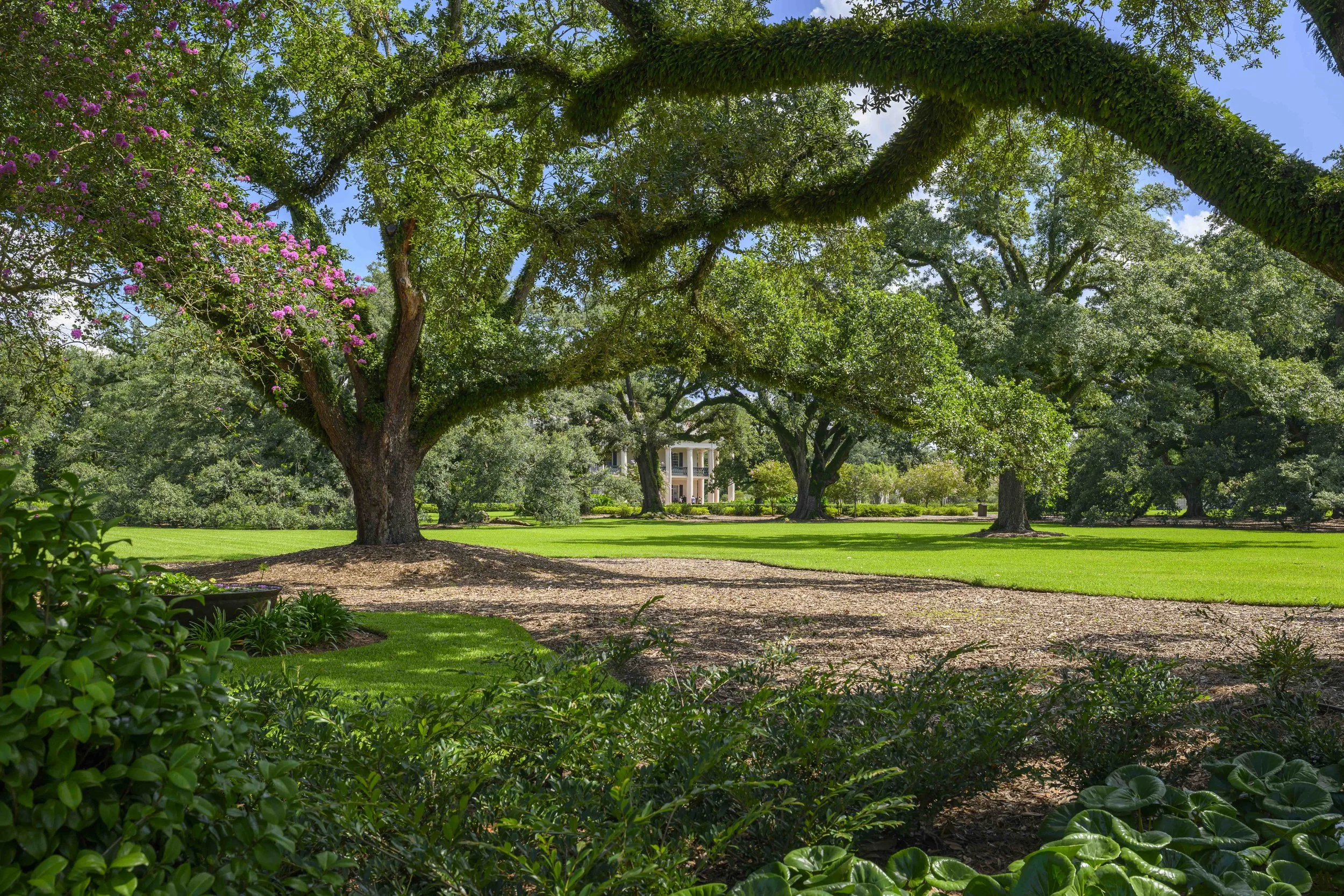 Oak Alley Plantation