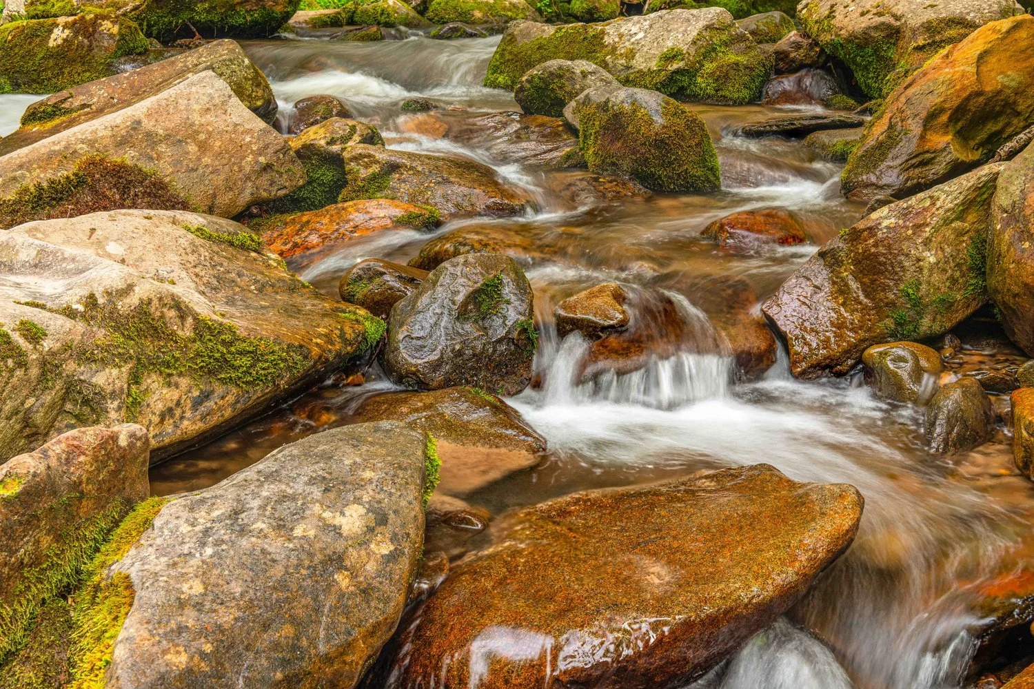 Deep Creek, Great Smoky Mountains, Bryson City, NC