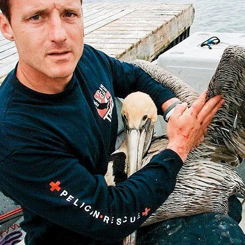 Zoli Pelicans.jpg