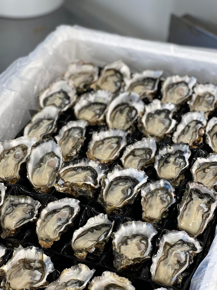 Coromandel Oyster Company