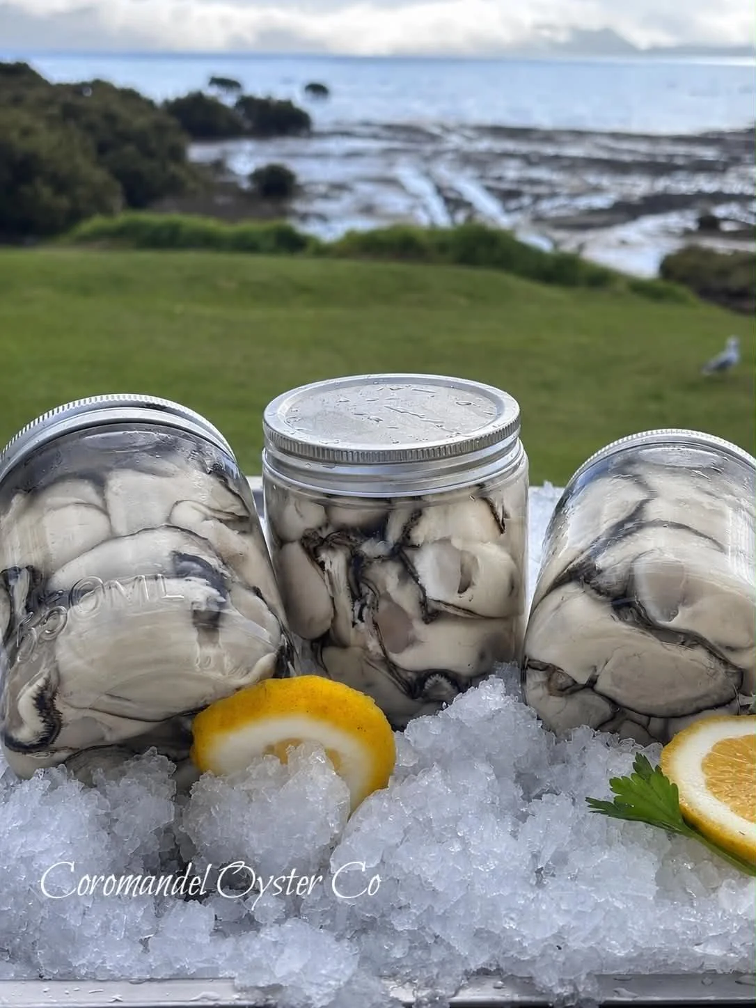 lill jar of jumbos.jpeg