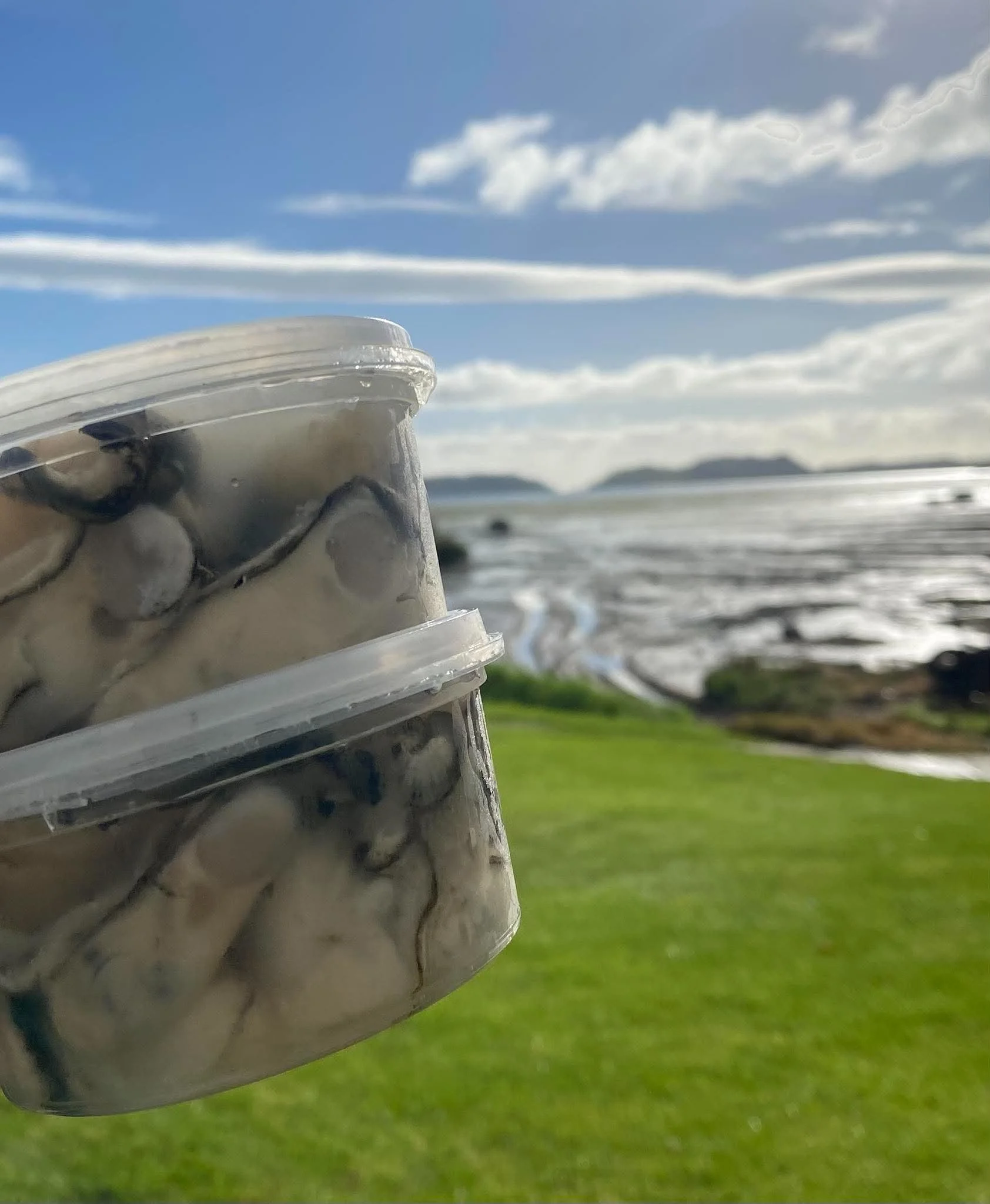 Tolaga Oyster Pots.jpg