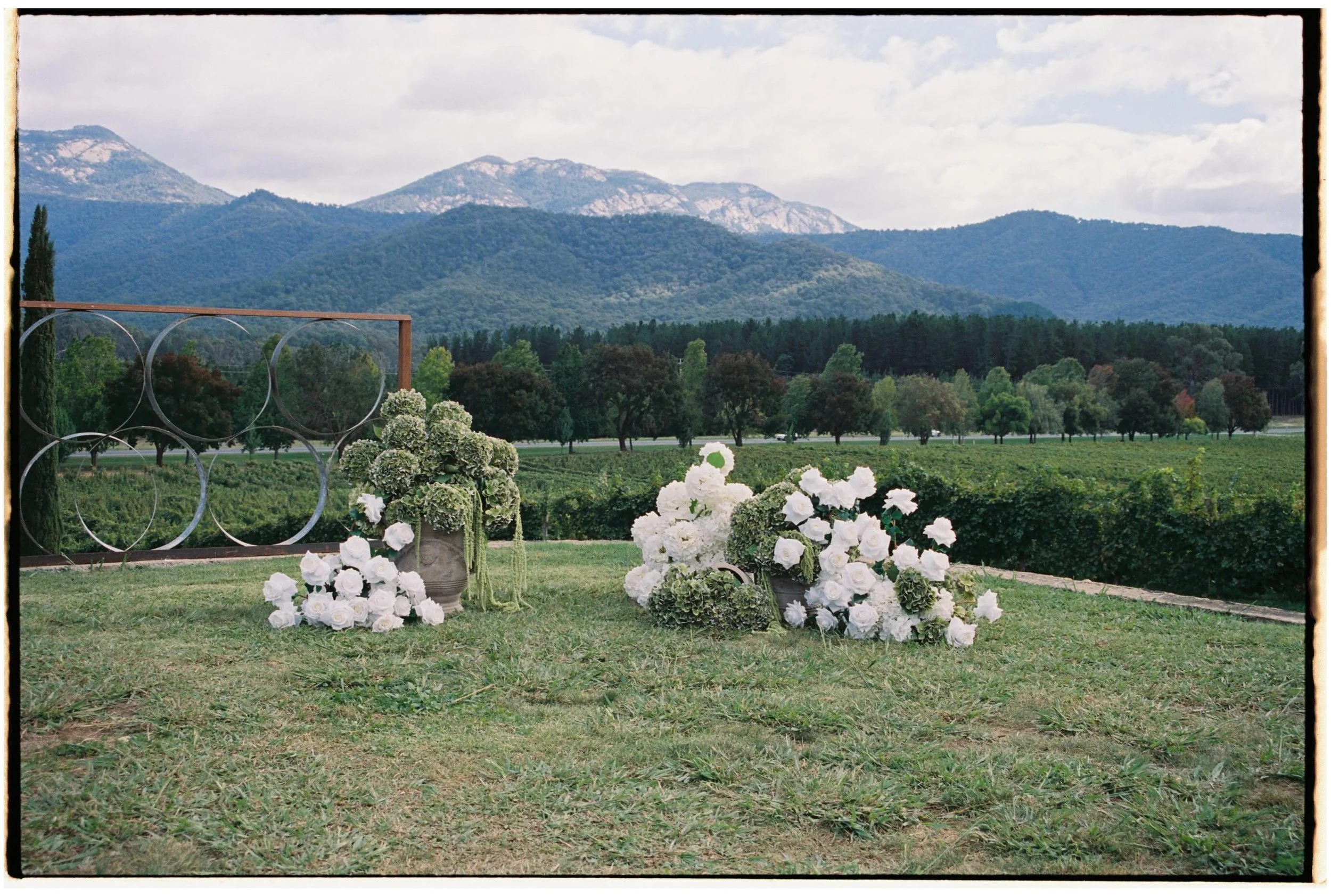 Still OBSESSING over this beautiful film photography by @augustamor.co 😍😍😍

@mellyraincreative 
@feathertop_wine 
@feathertop_events 

www.thefauxflowerbar.com
Have an event coming up? Want to hire your florals? Email us today! 

⁣

#faux #artific