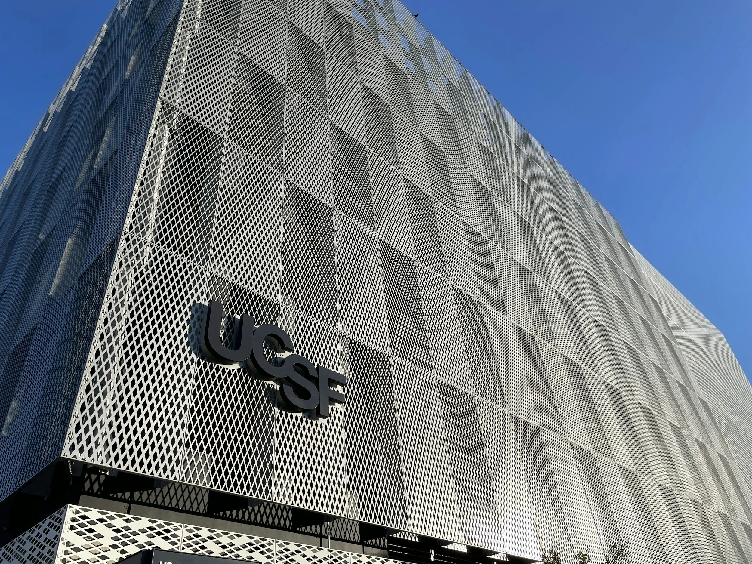 UCSF Mission Bay Lunar New Year Show