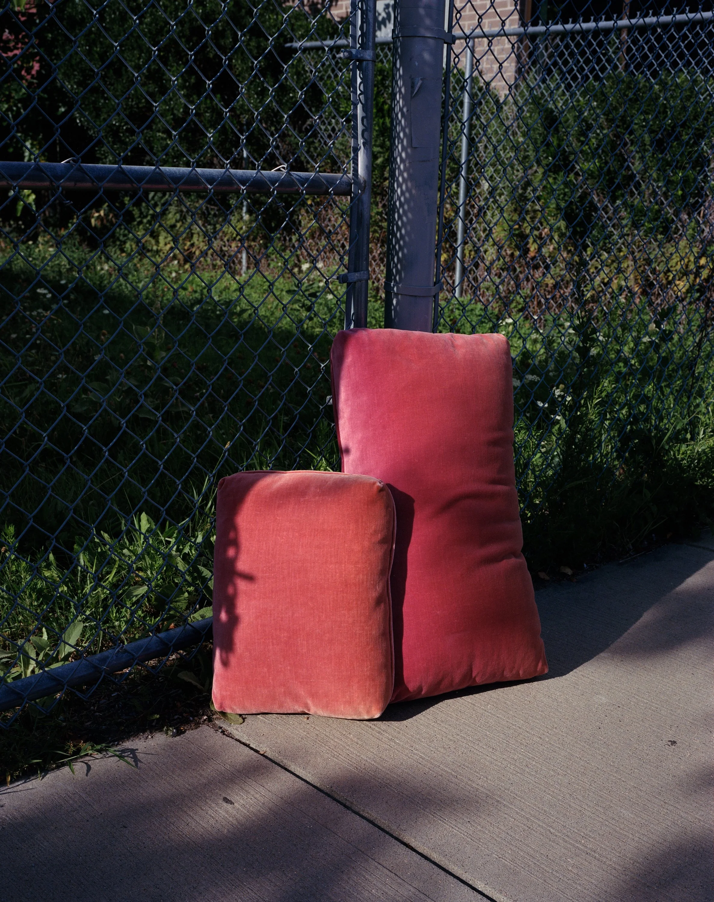 Two Pillows Near Fence-Edit.jpeg