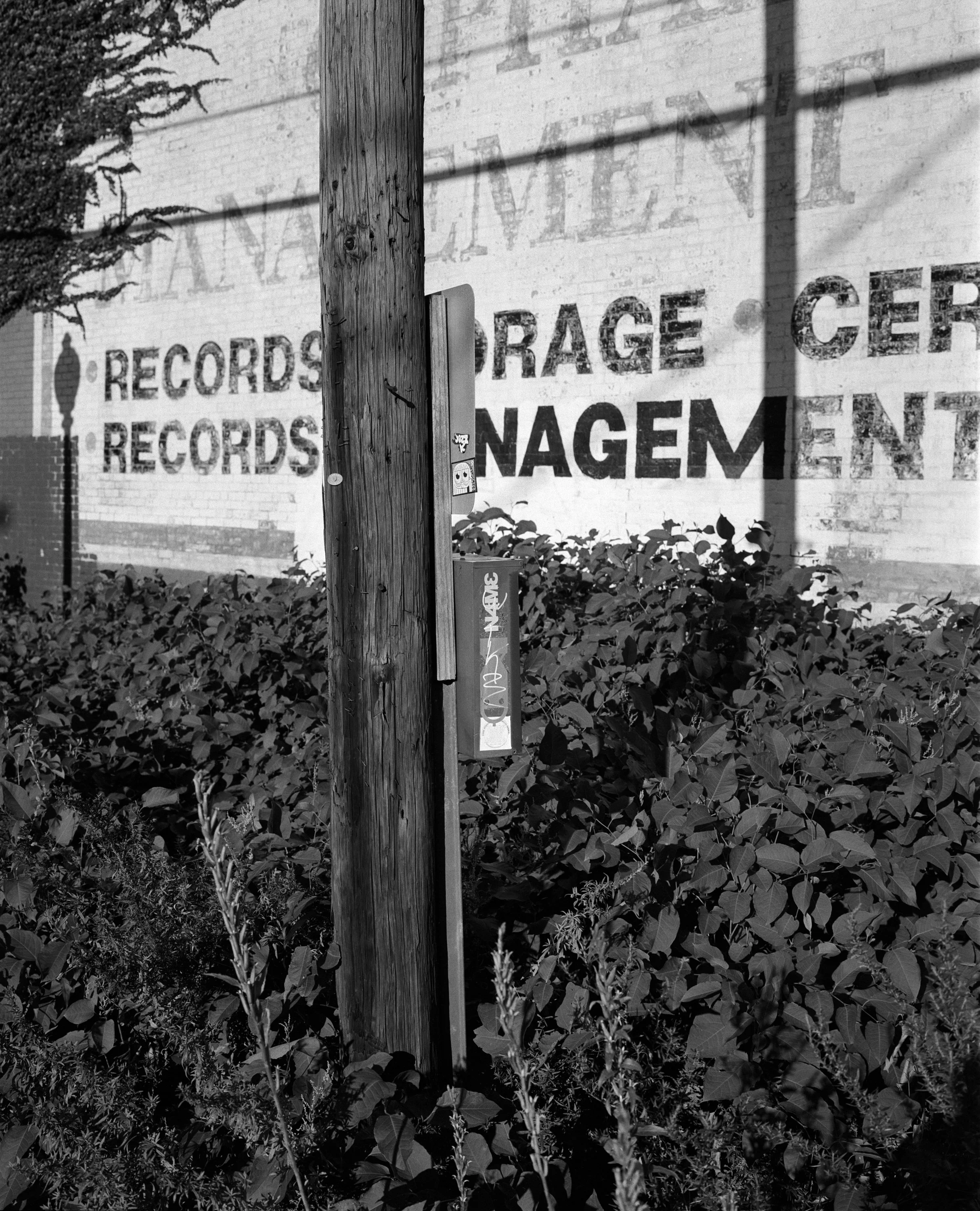 Records Storage Management Phone Pole-Edit.jpeg