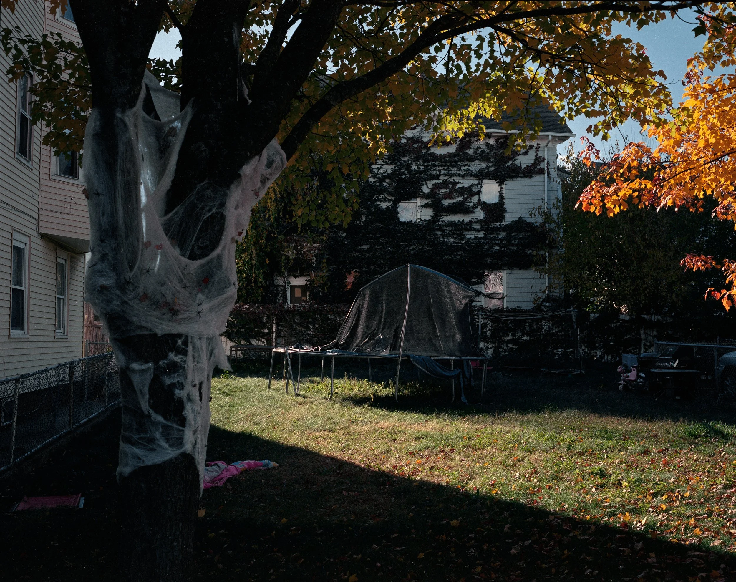 Fed Hill Backyard Tree Web Trampoline-Edit-1.jpeg