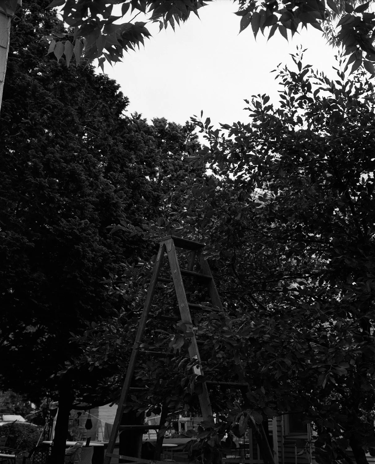 Ladder-Edit.jpg