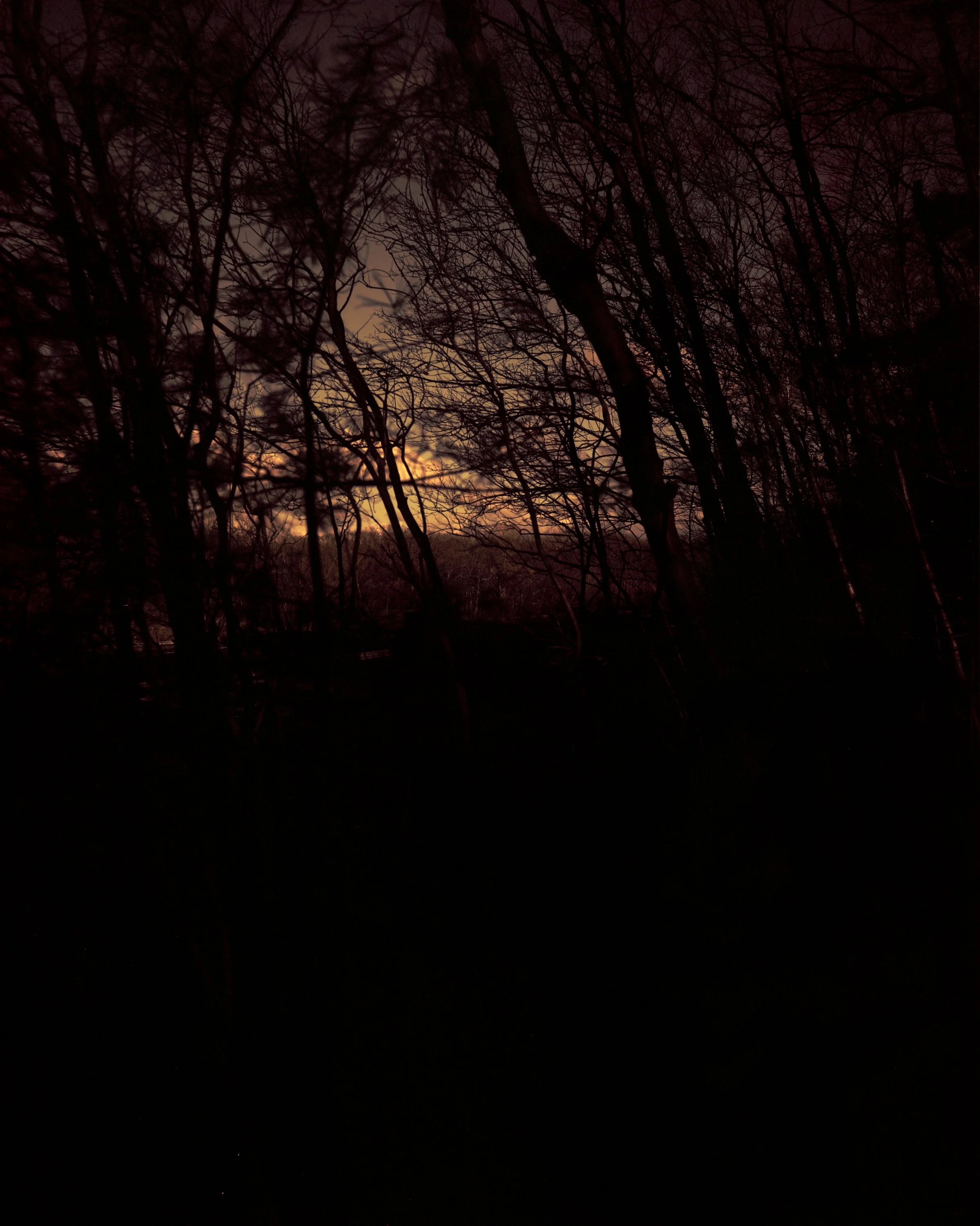 Pull Back test 3.jpeg