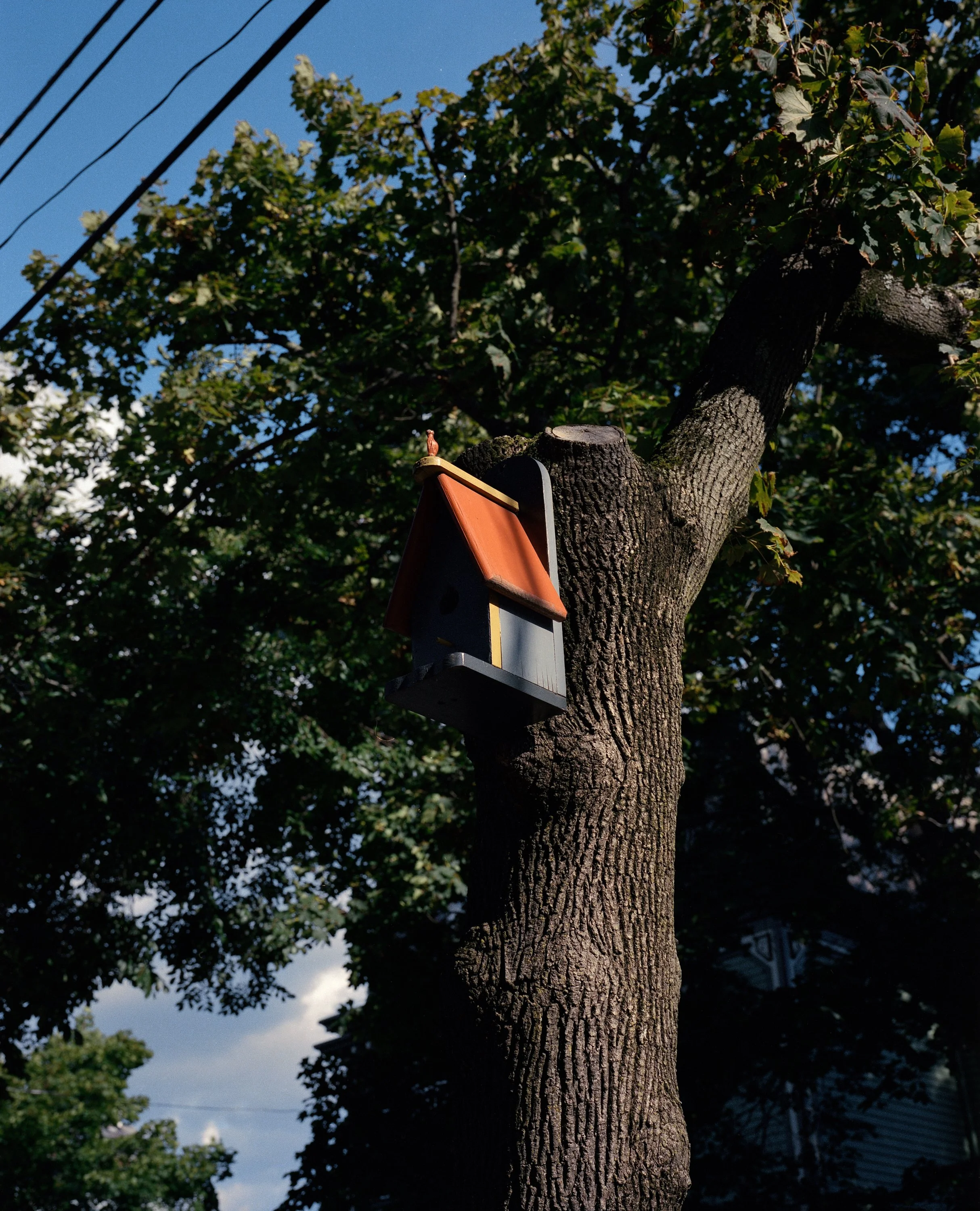 Fed Hill Bird House-Edit.jpeg