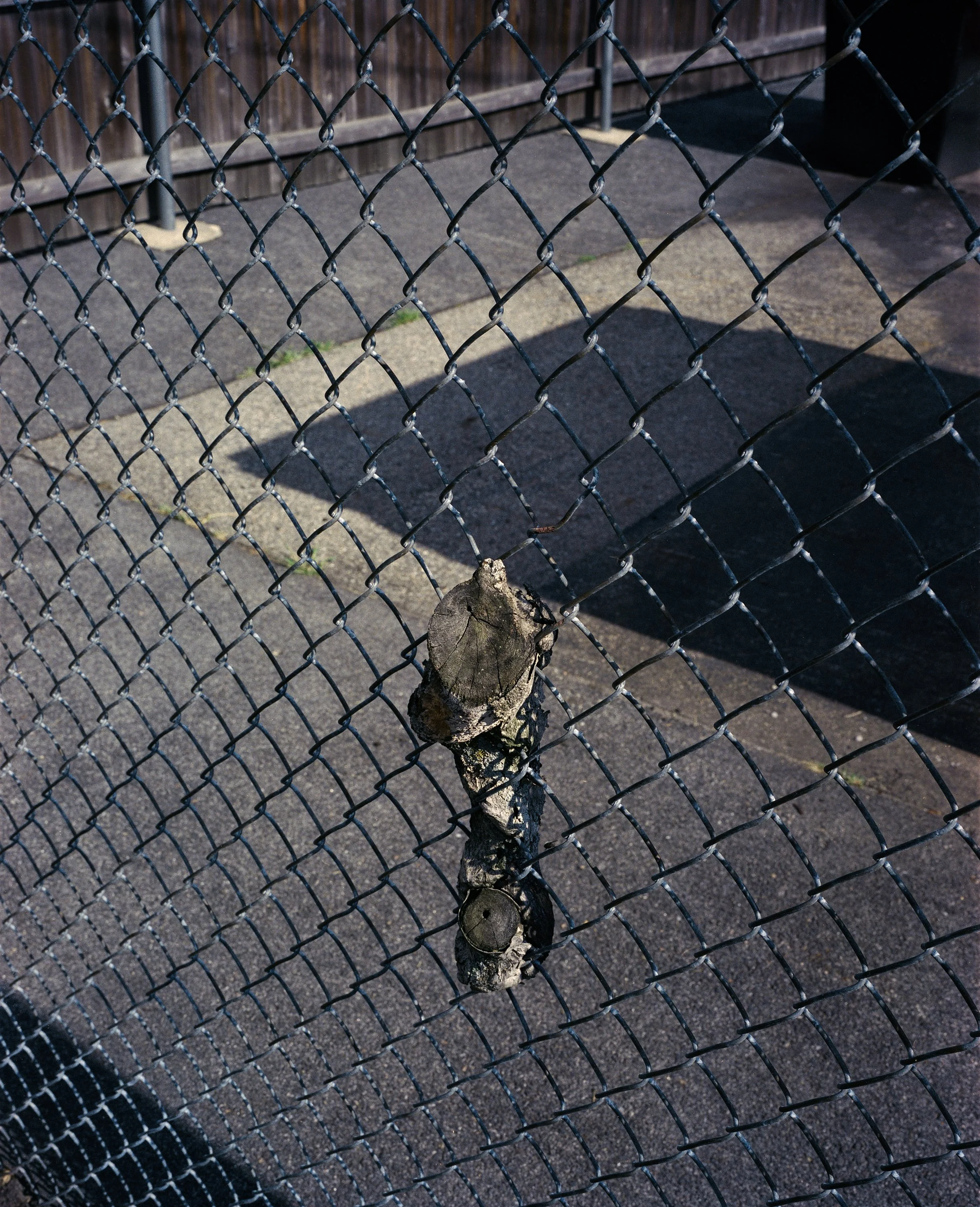 Branch Stuck in Fence Housing Parking-Edit.jpeg