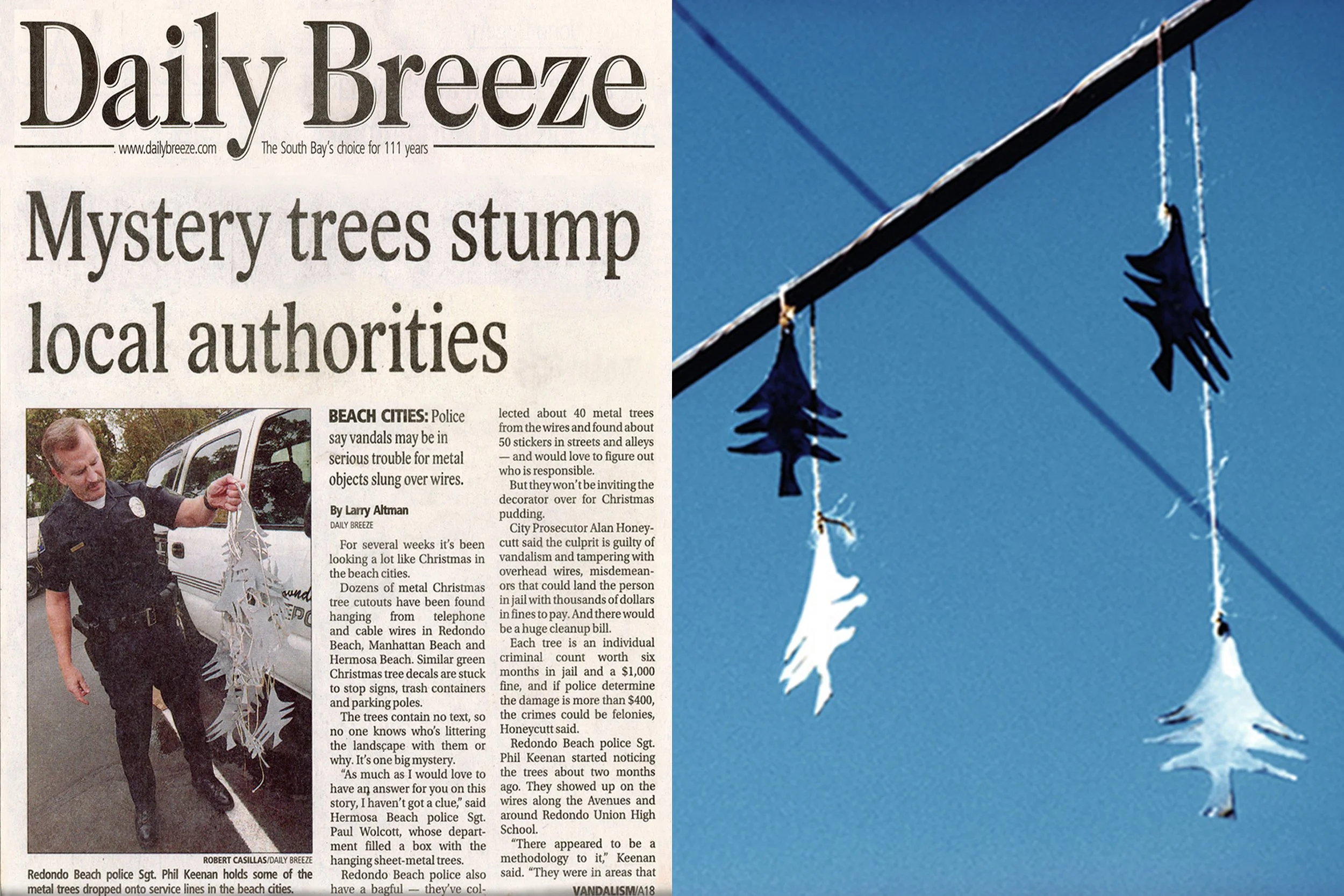 Mystery Trees Campaign