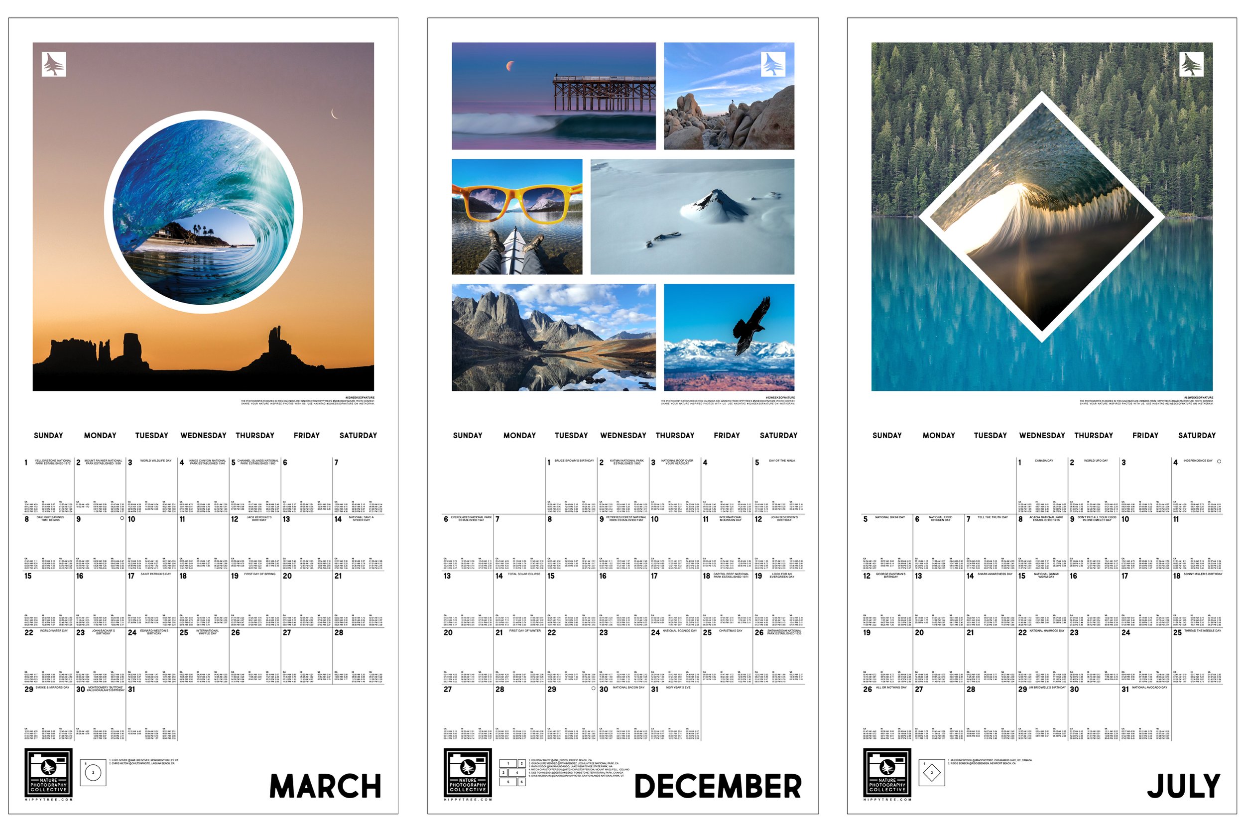 2020 wall calendar months triptych.jpg