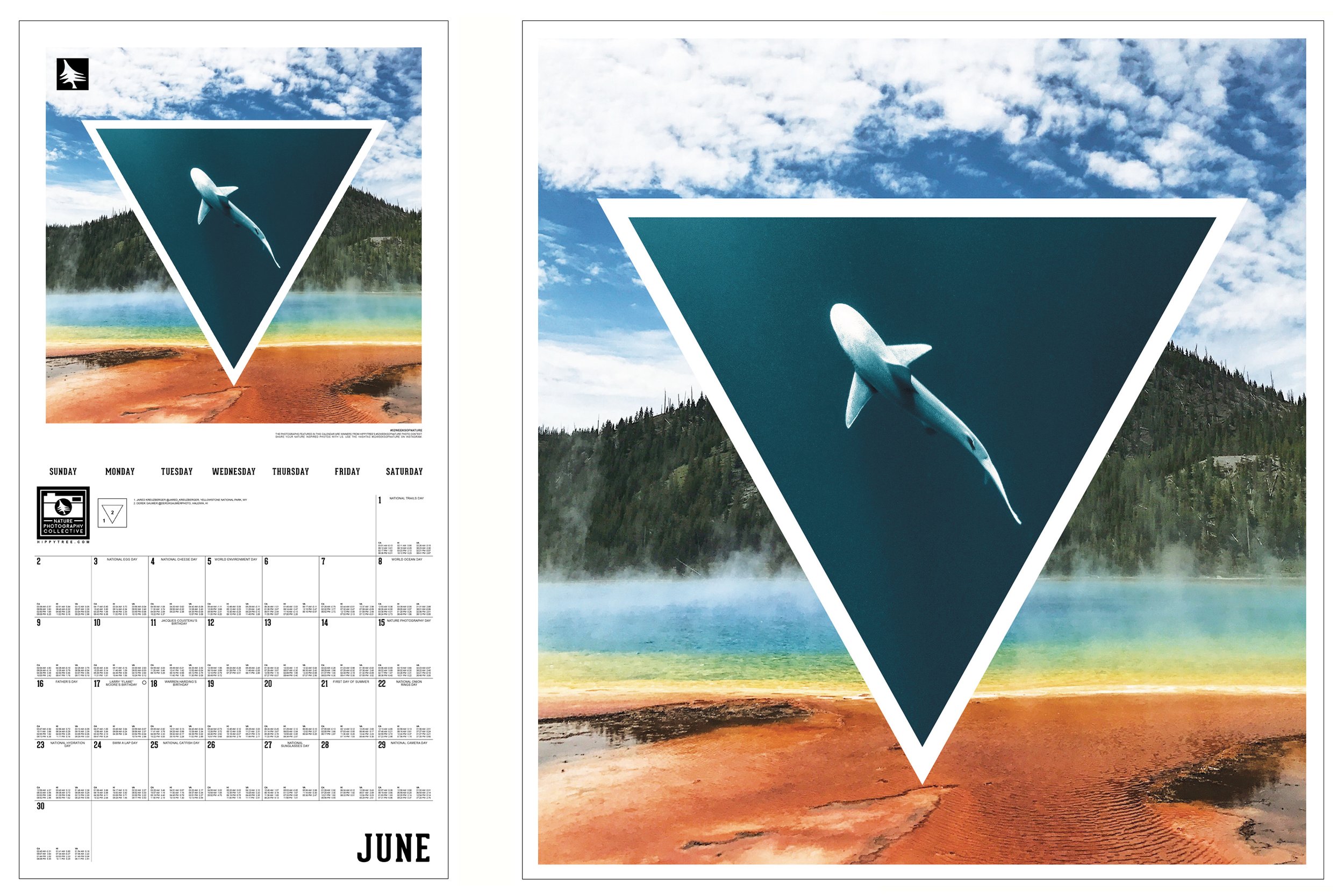2019 wall calendar shark spread V2.jpg