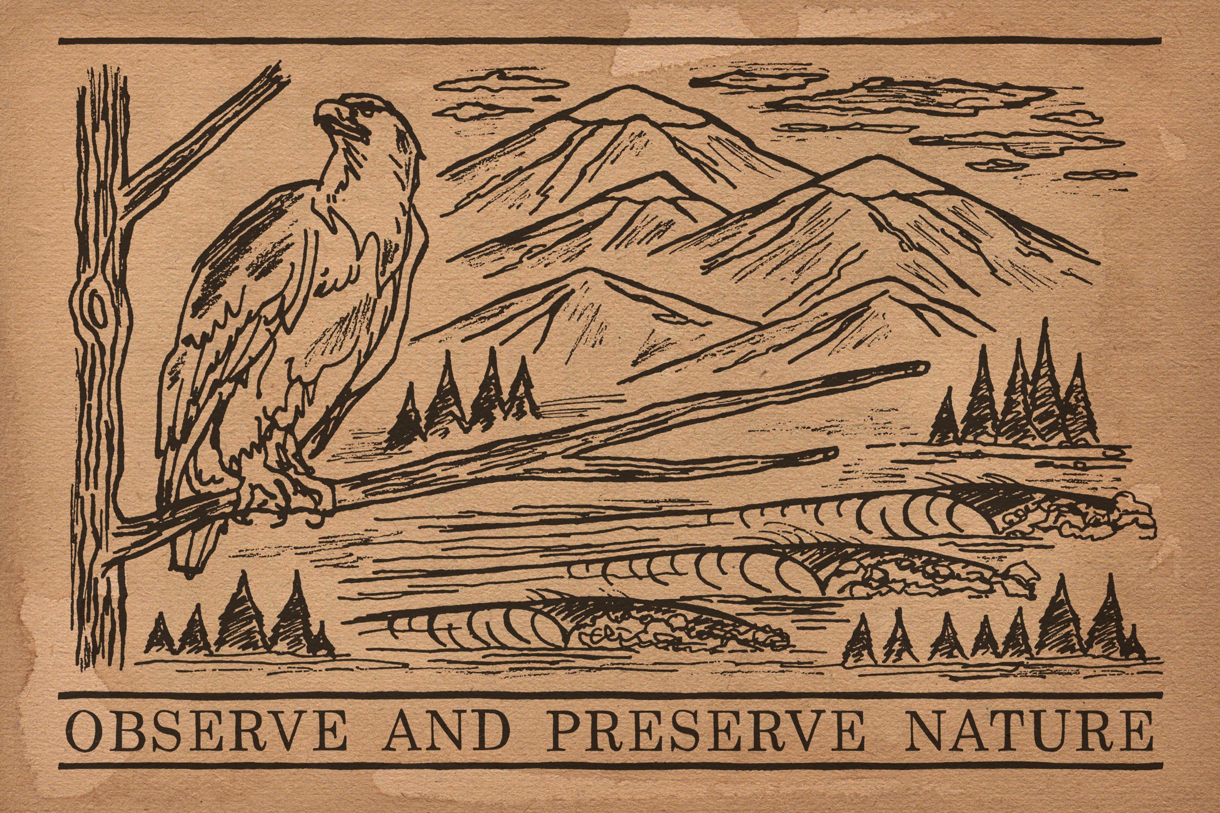 eagle and wave drawing spread.jpg
