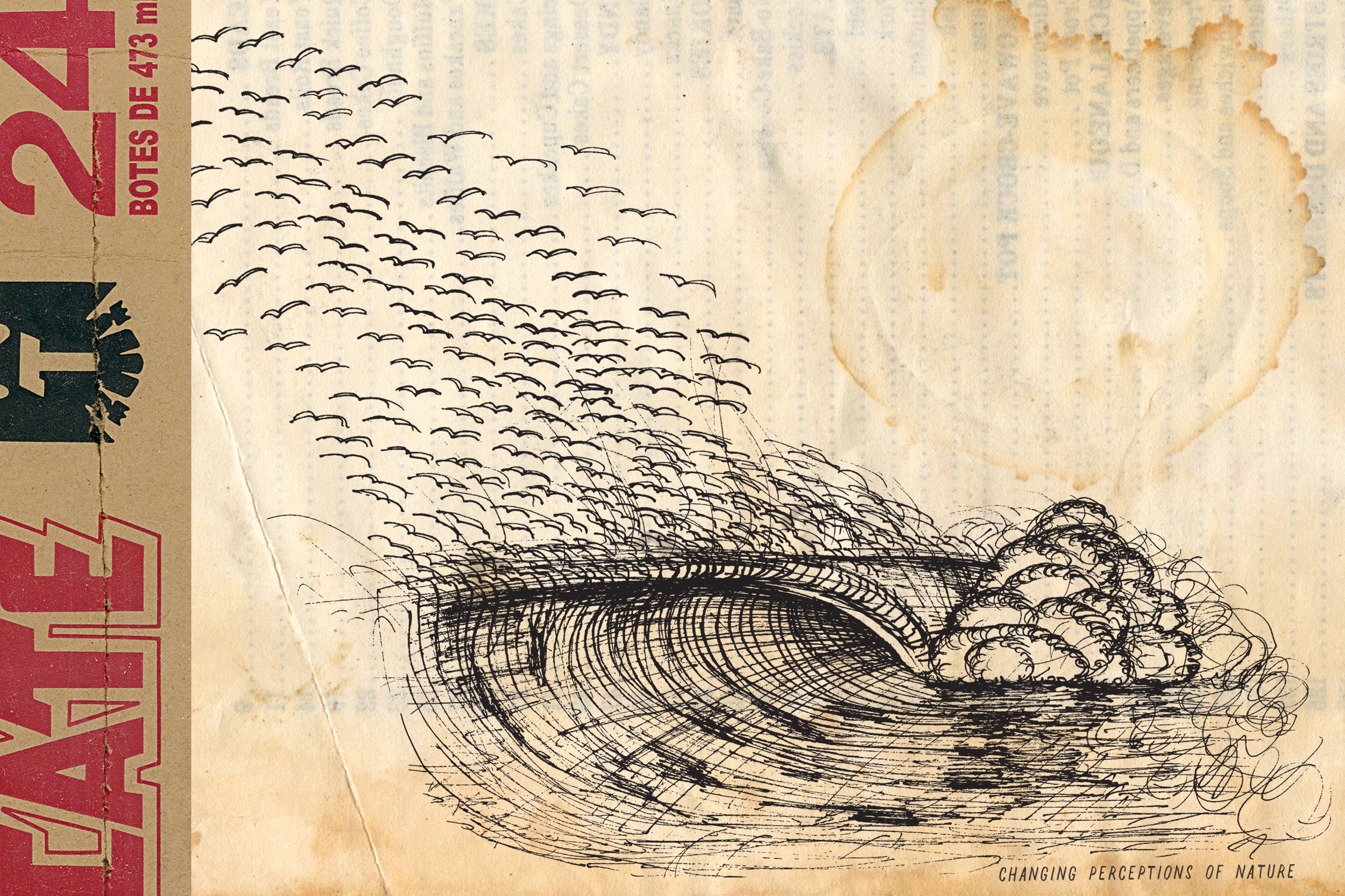 wave and seaguls spread.jpg