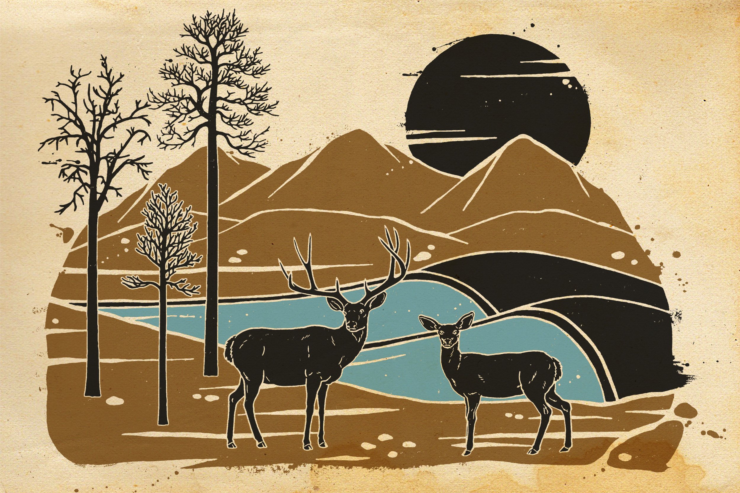 deer with wave spread.jpg
