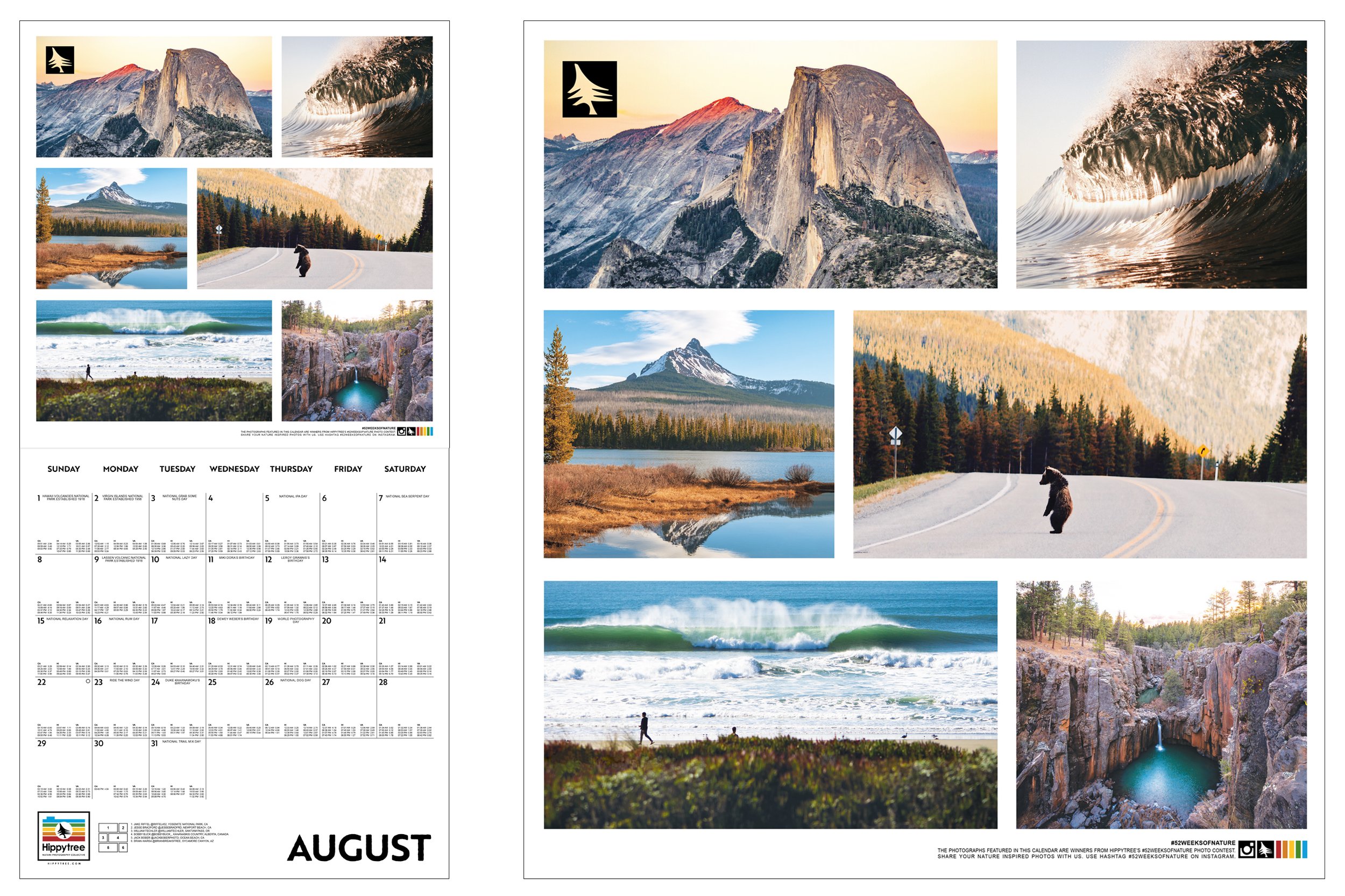 2021 wall calendar bear image spread.jpg