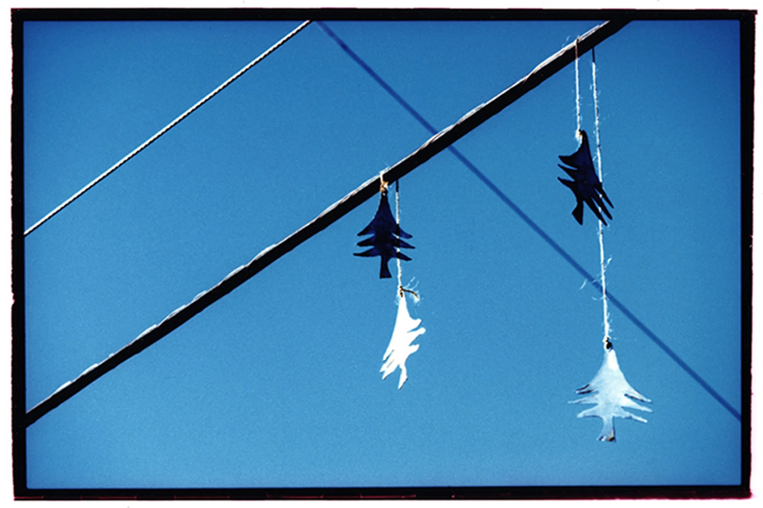 hand cut on wires full spread.jpg