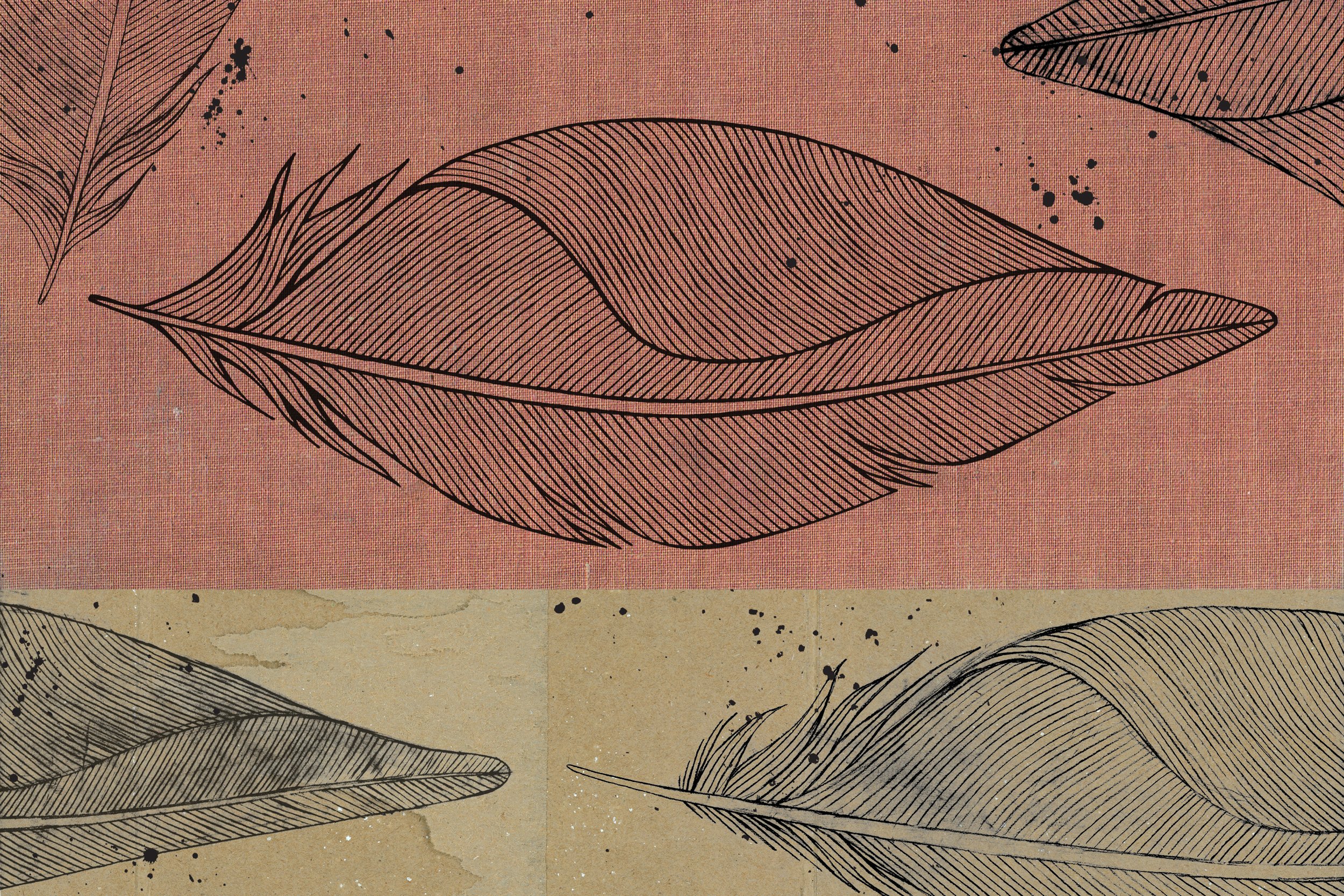feather spread.jpg
