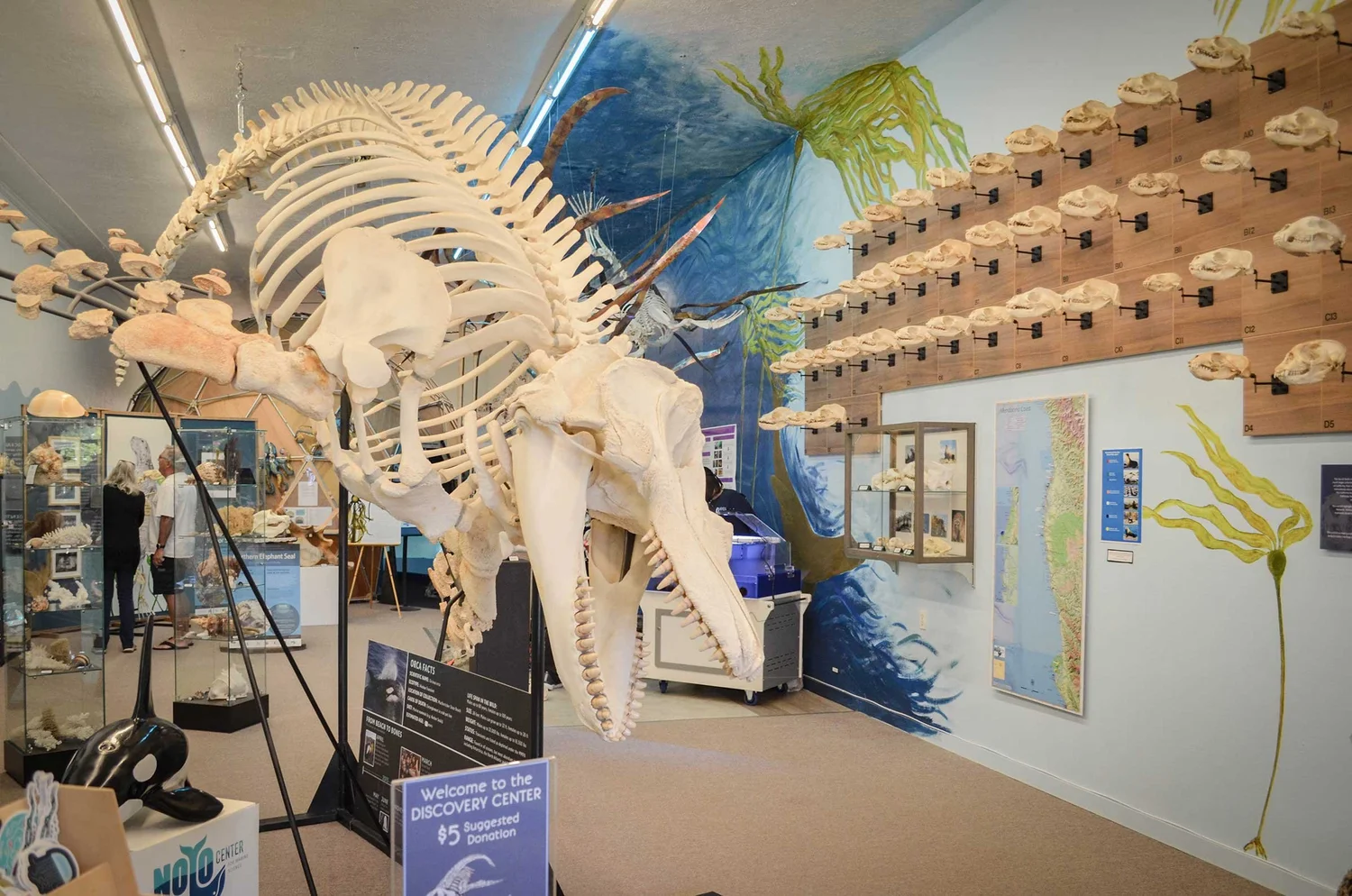 The Discovery Center — Noyo Center for Marine Science