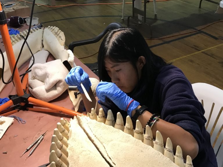 A student working on the reconstruction 