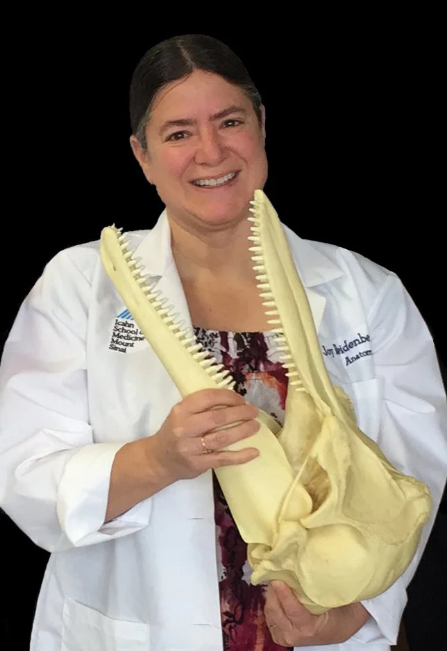 Noyo Center Talks Science: Bewildered By Betty Blue’s Big Basihyal Bone&nbsp; (Zoom Event)