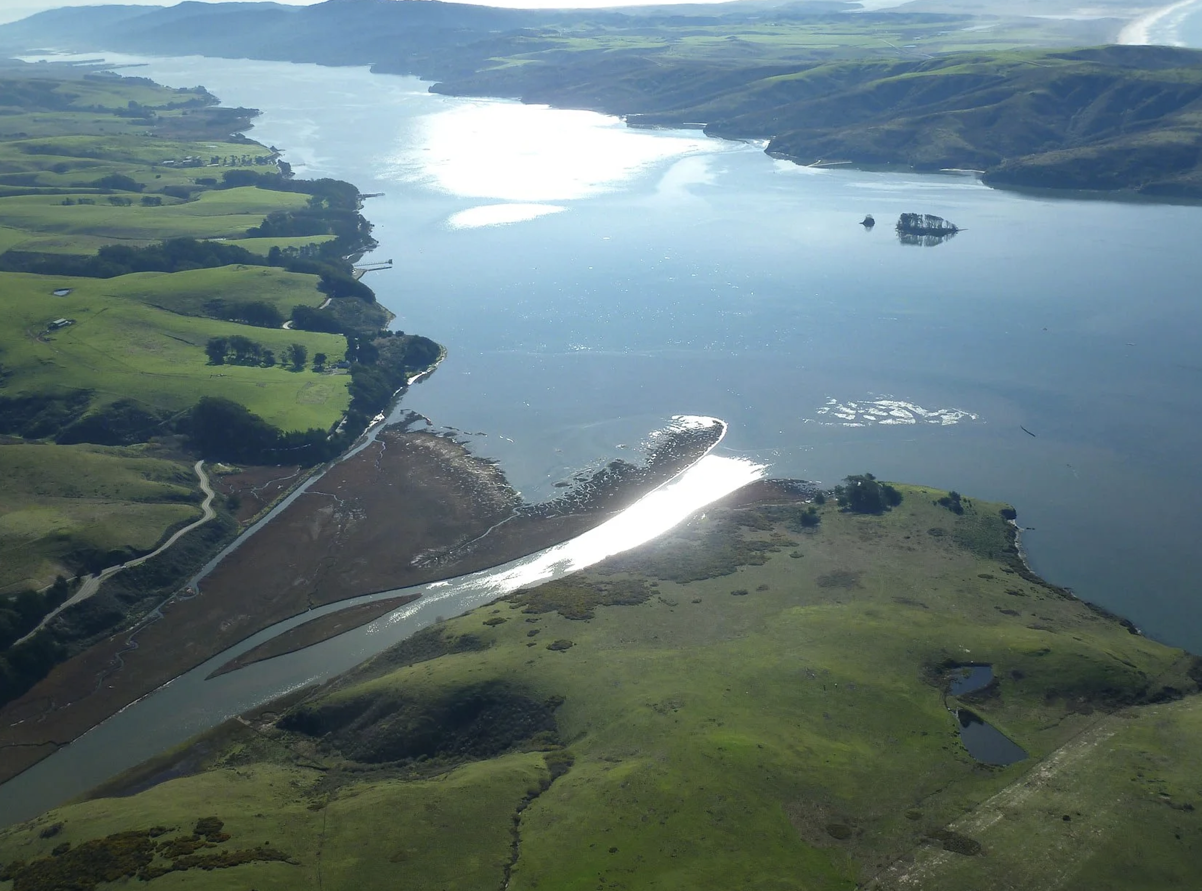Noyo Center Talks Science with Edwin Grosholz, Distinguished Professor Emeritus at UC Davis
