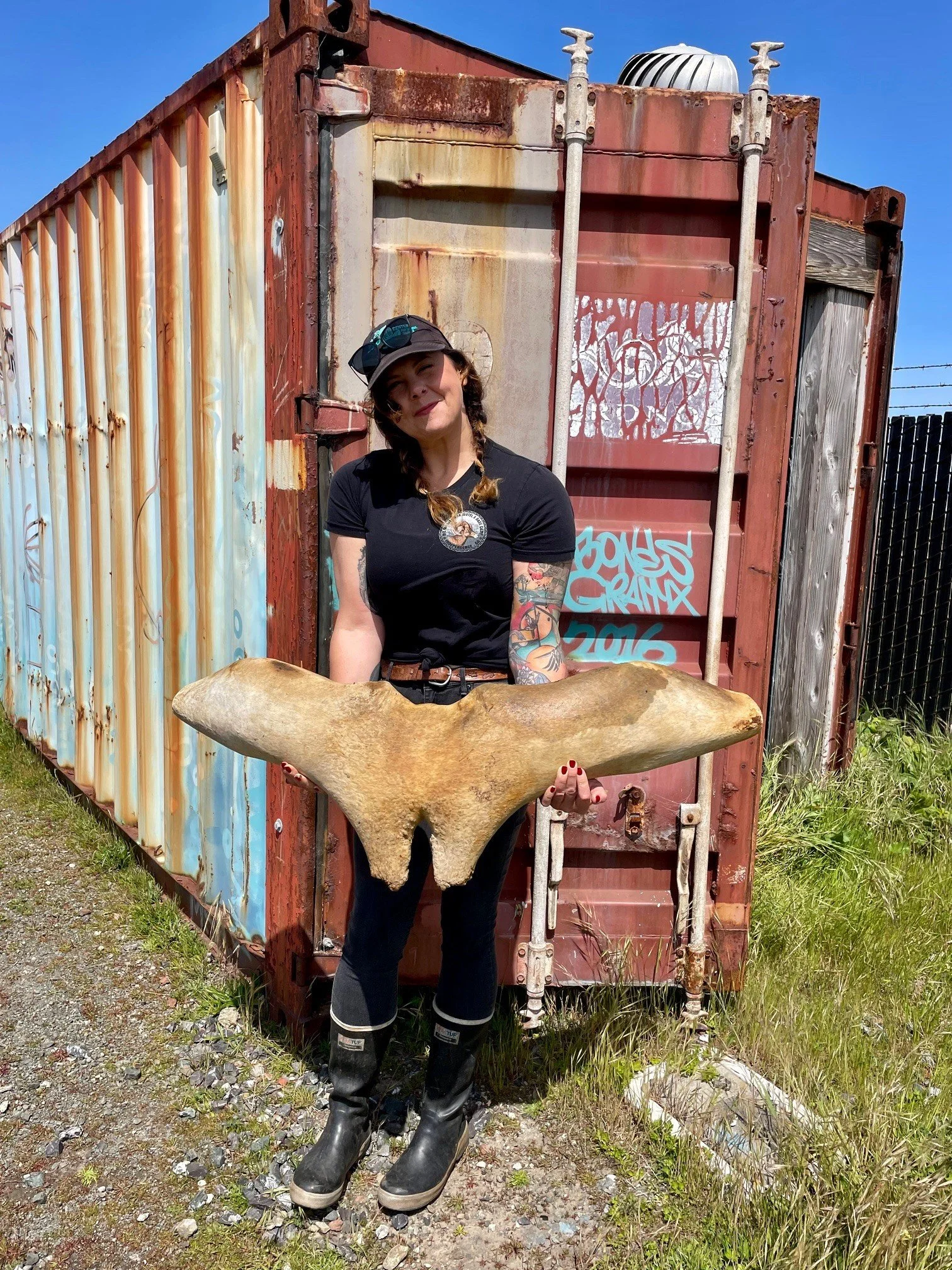 Whale Migration Challenge Series Finale — Get Down with the Locals