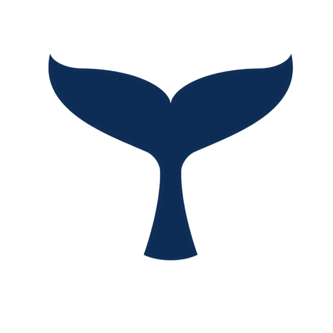 Whale Tails: Meet &amp; Make</span>