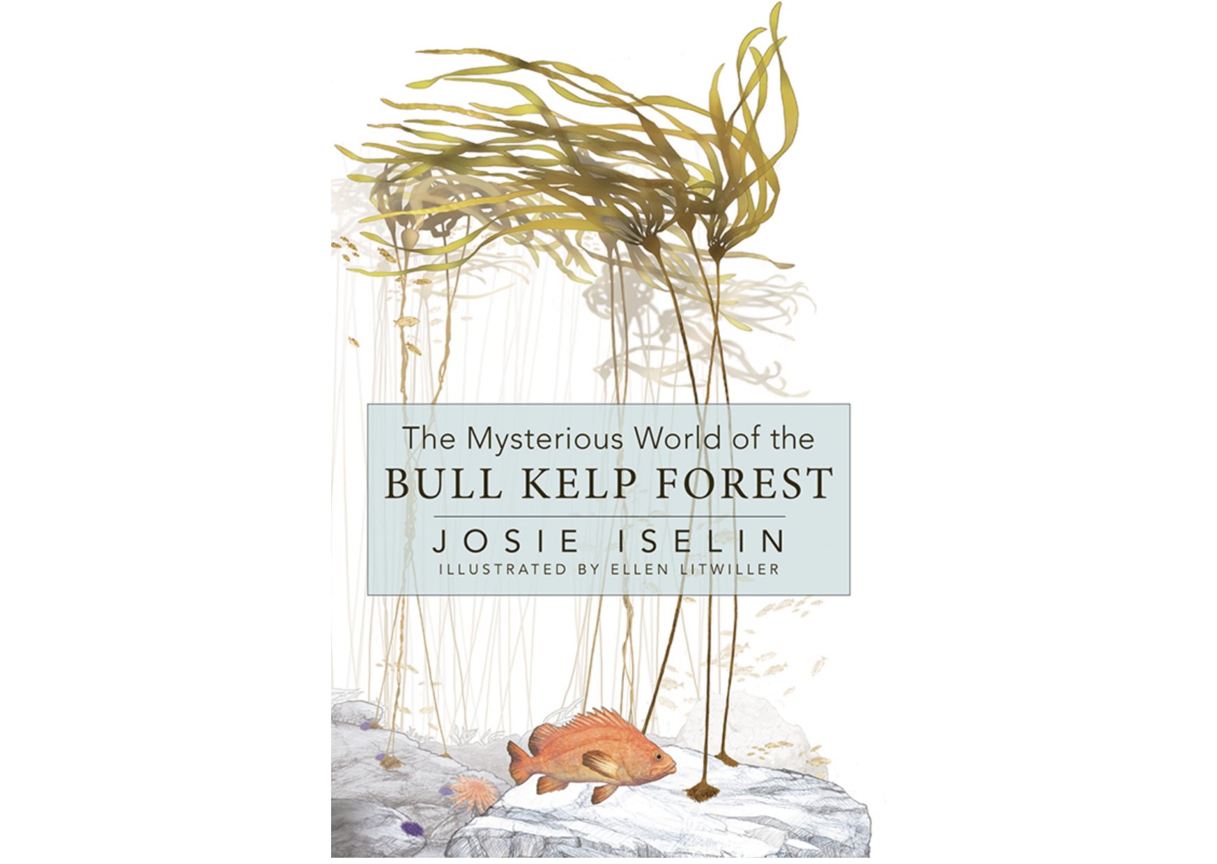 Book Signing: The Mysterious World of the Bull Kelp Forest