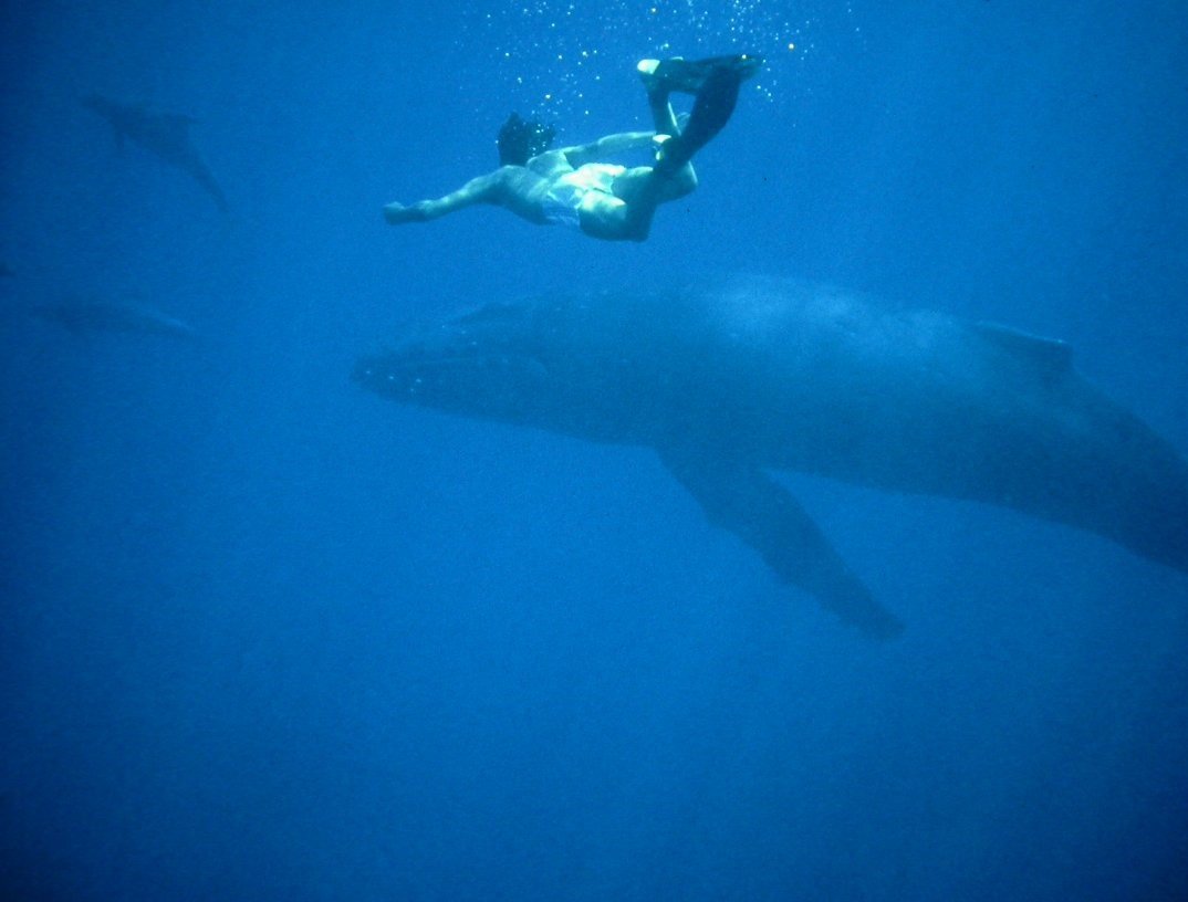 Ocean Acoustics with Jeff Jacobsen