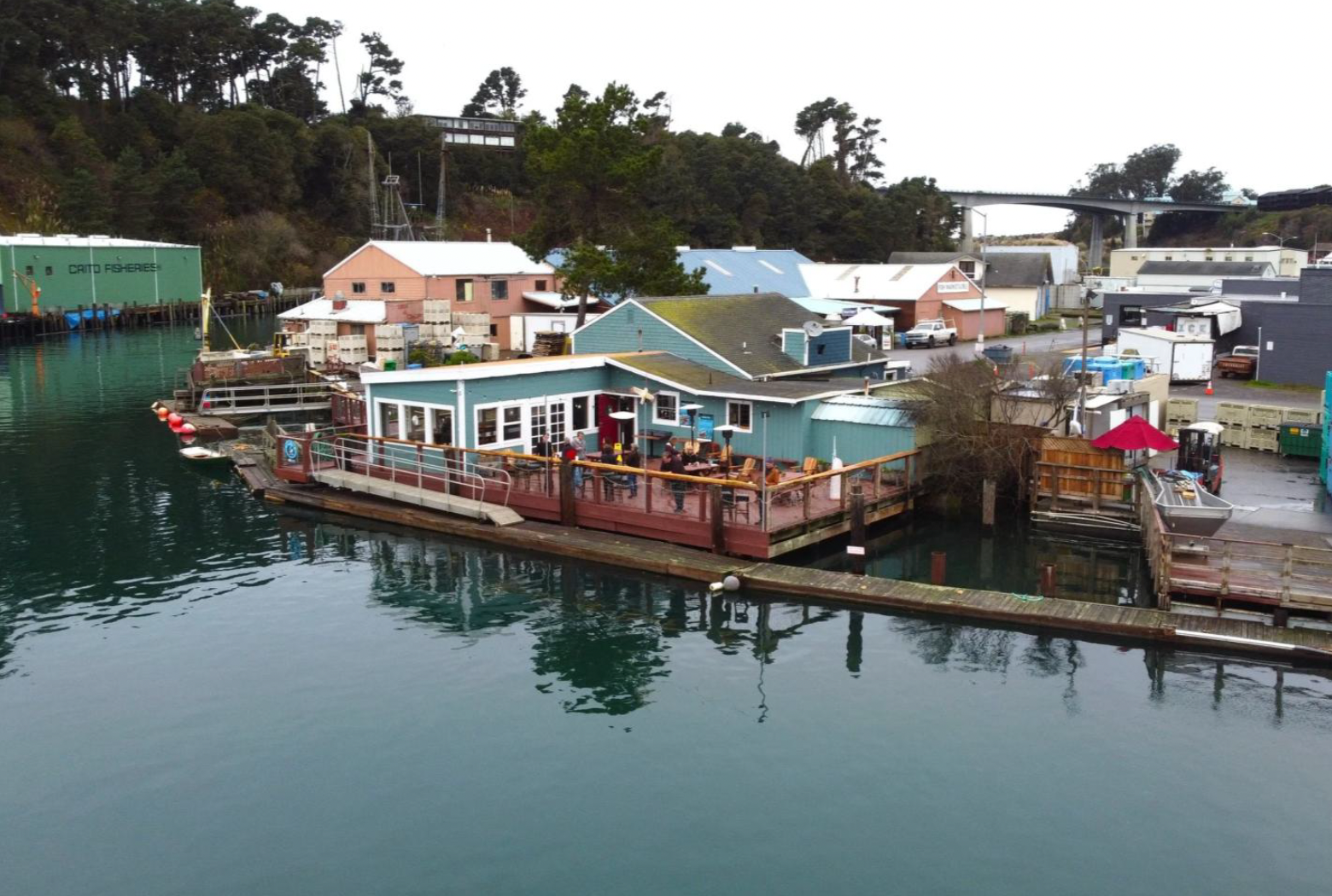 Noyo Center Talks Science with Dilip Trivedi, Dr.Eng, PE