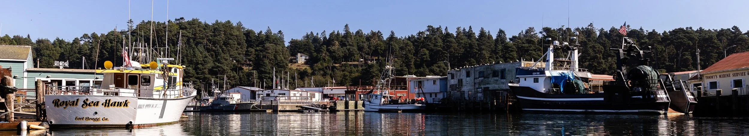 A Special Seafood Dinner in Noyo Harbor