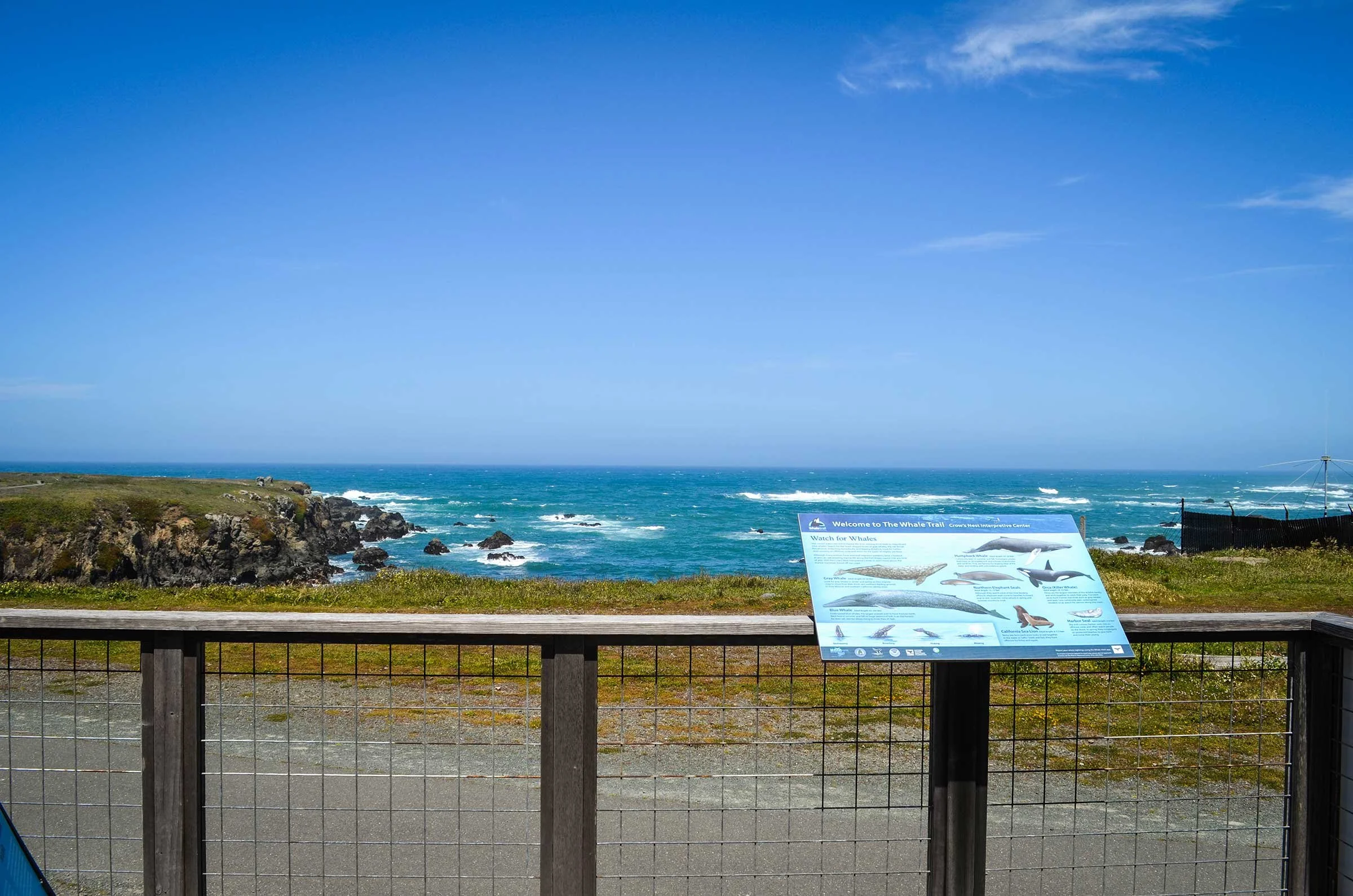 Our Story Noyo Center For Marine Science Our Story Noyo Center For Marine Science