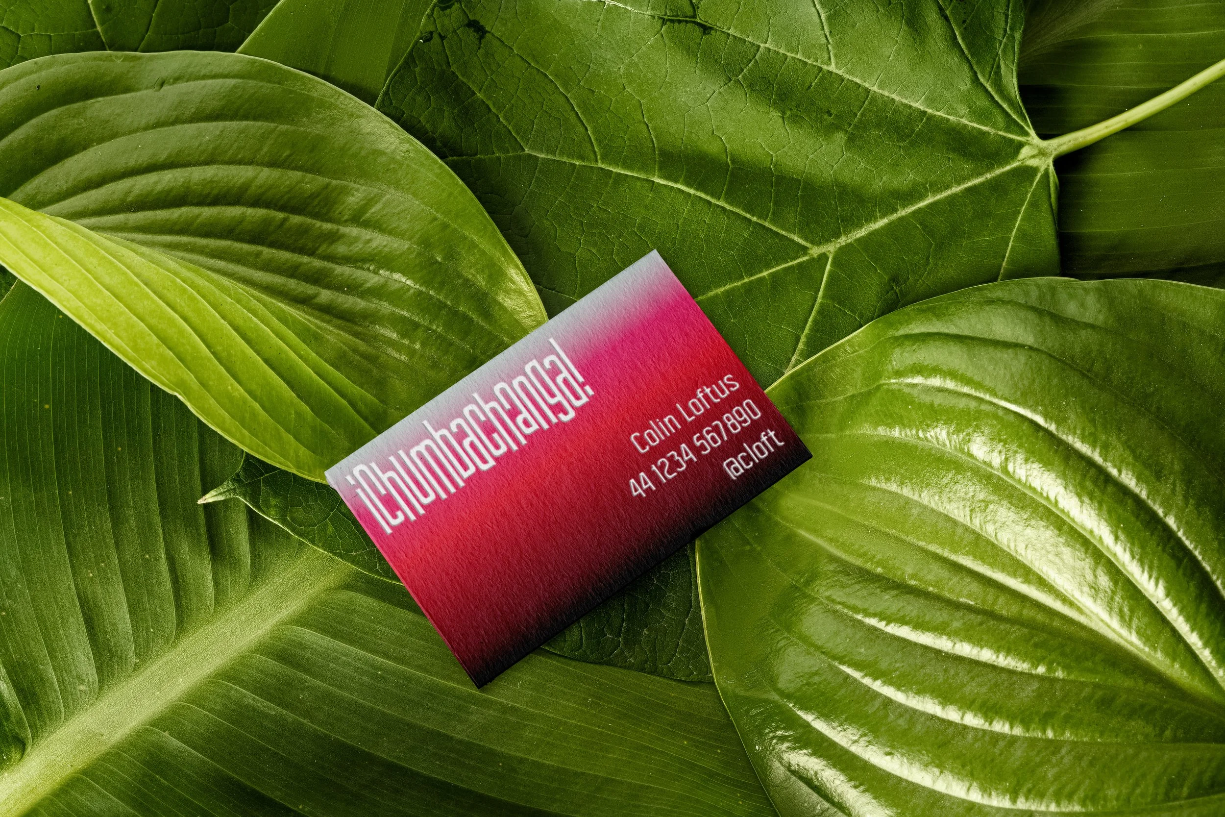 BusinessCard Plants.jpg