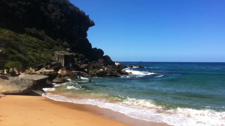 palm_beach_summer_bay_sydney_own_3-768x432.jpeg