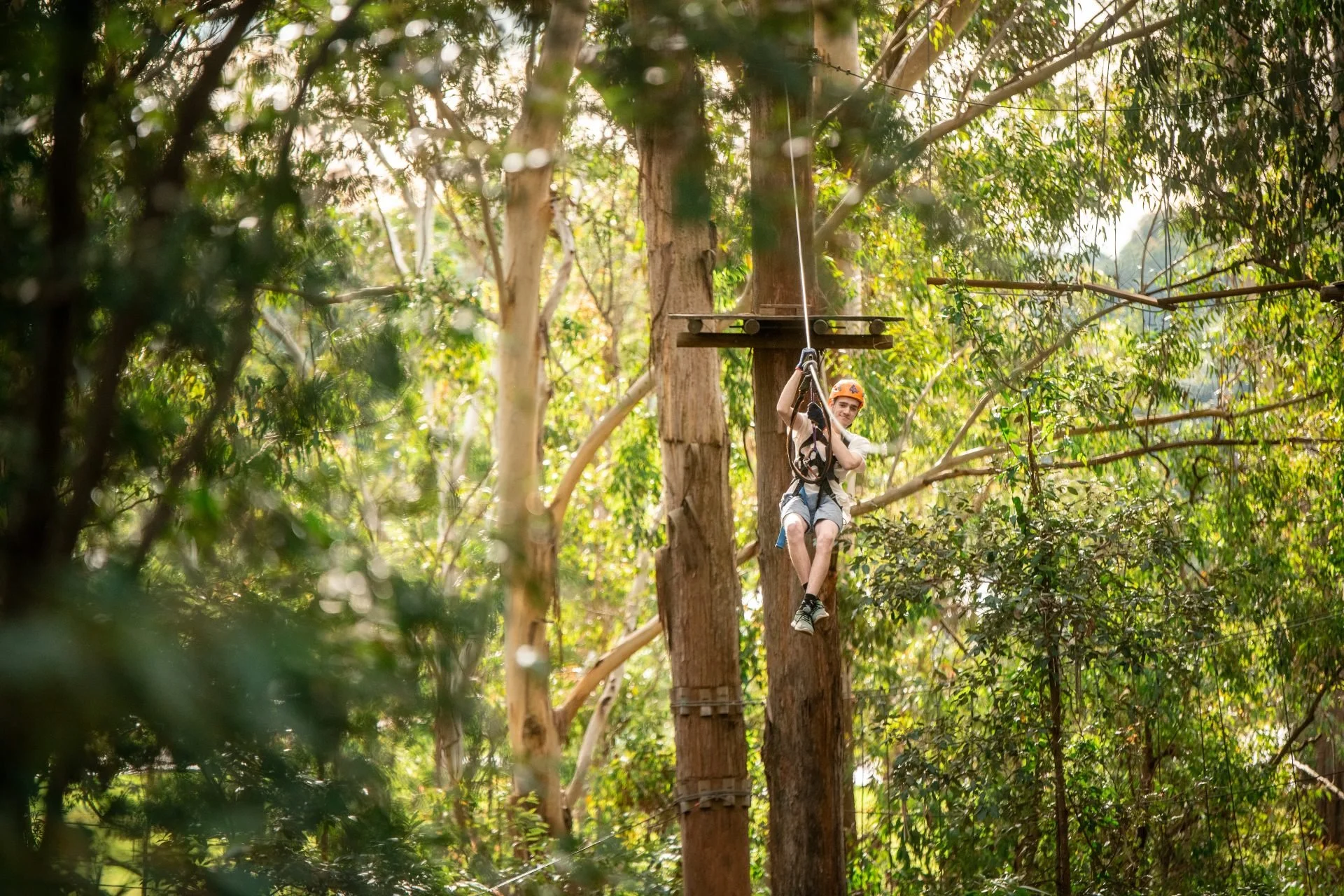 Adult-Zipline-2.jpeg