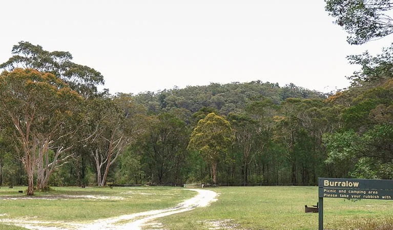 burralow-creek-campground-02.jpg