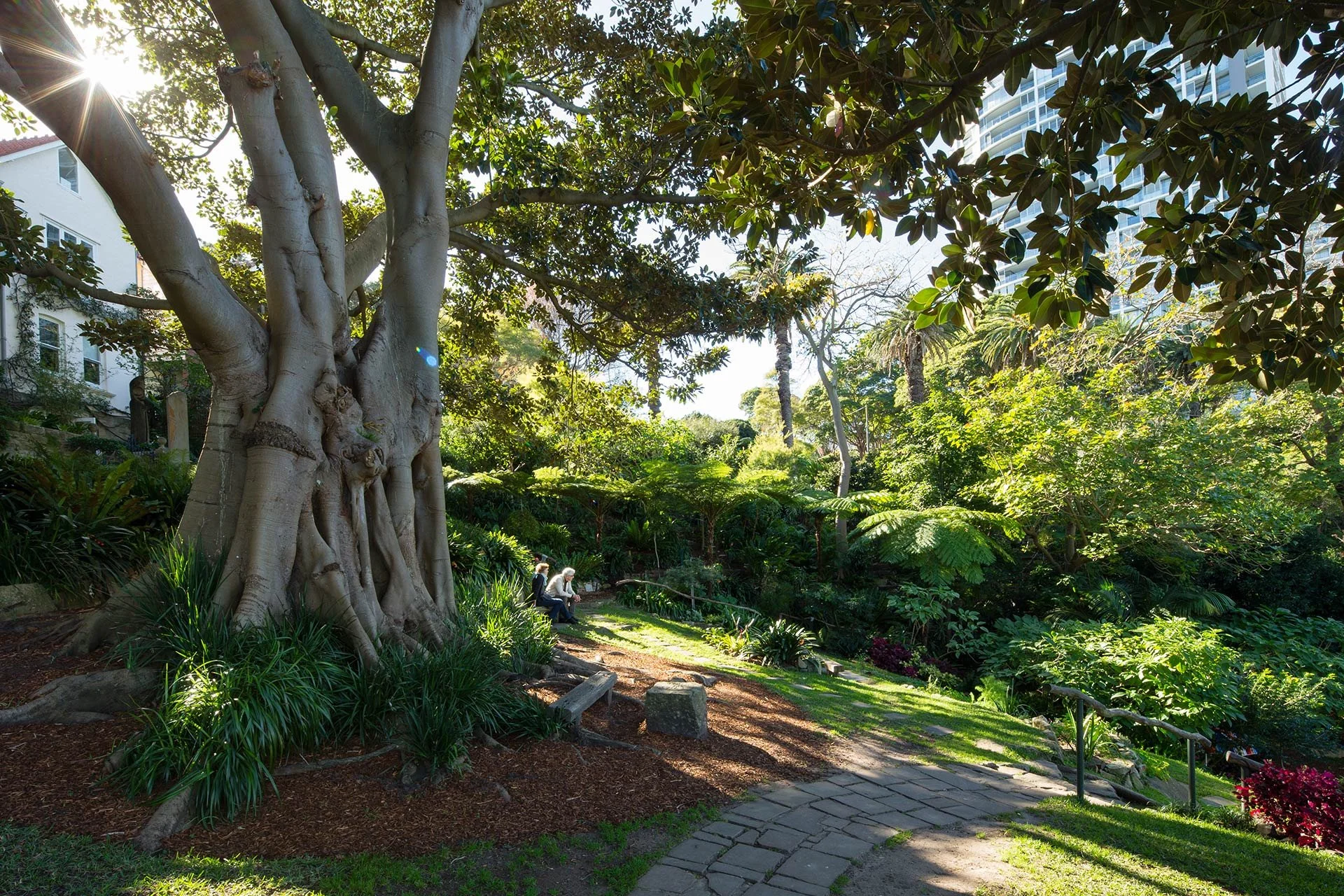 wendys-secret-garden-entrance-moreton-bay-large.jpeg