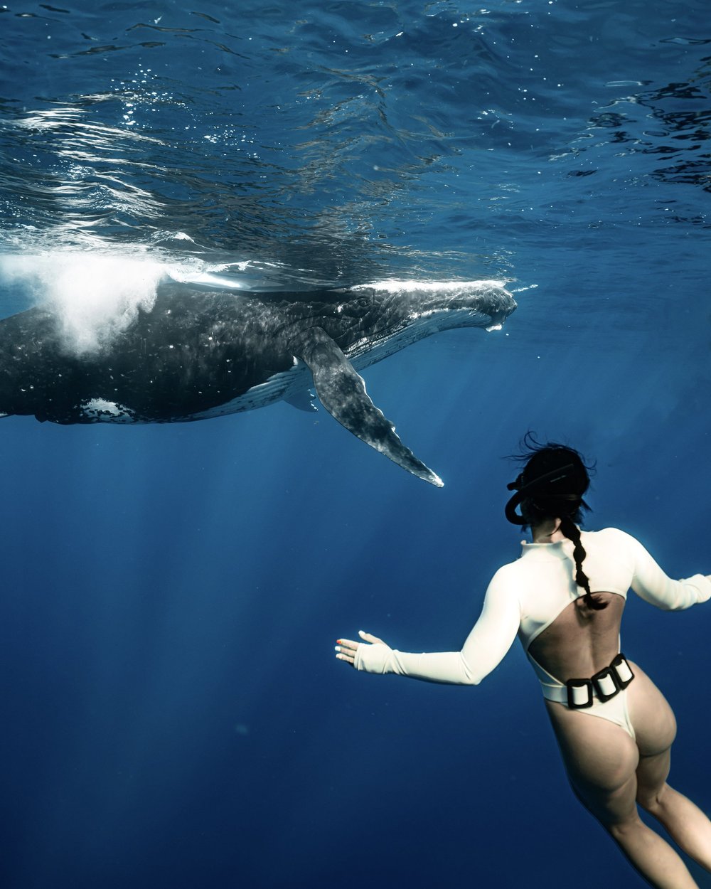 Snorkeler swimming next to a whale